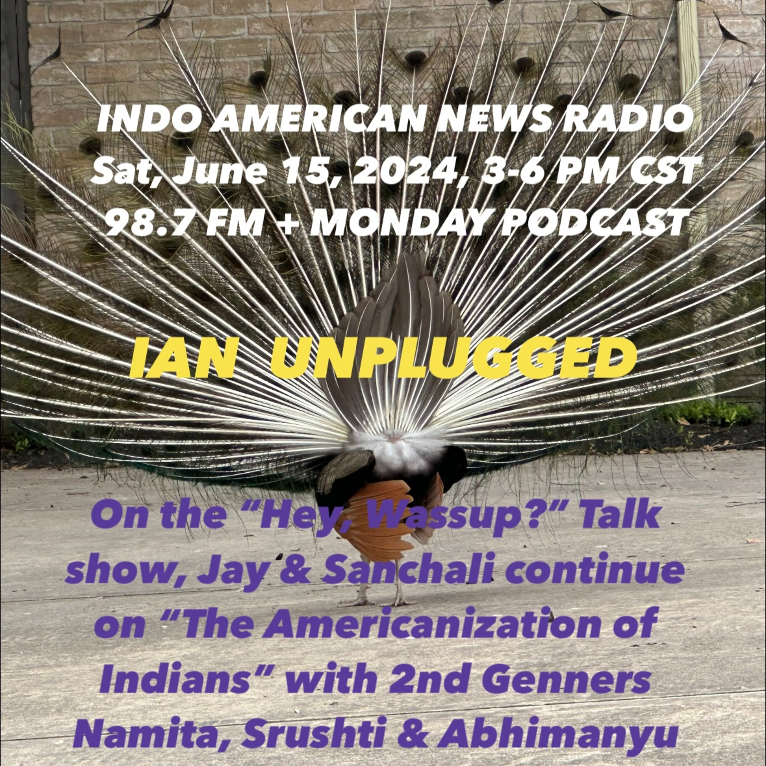 IAN Unplugged 2424 061524 On Hey Wassup, Jay Sanchali, with 2nd Genners Namita, Srushti & Abhi on the Americanizataion of Desis episode artwork