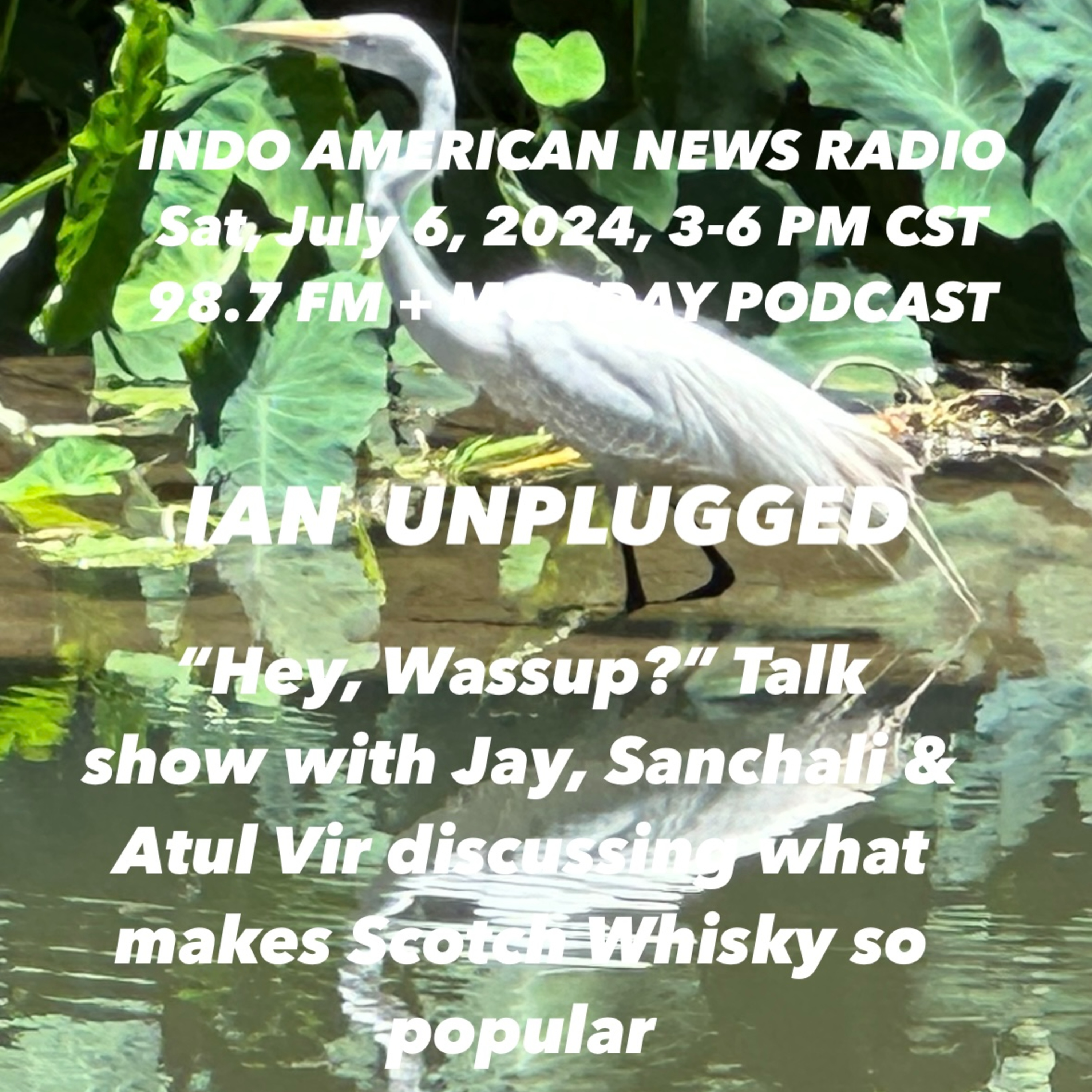 IAN Unplugged 2427 070624 On Hey Wassup, Jay & Sanchali discussing Scotch Whiskey with Atul Vir episode artwork
