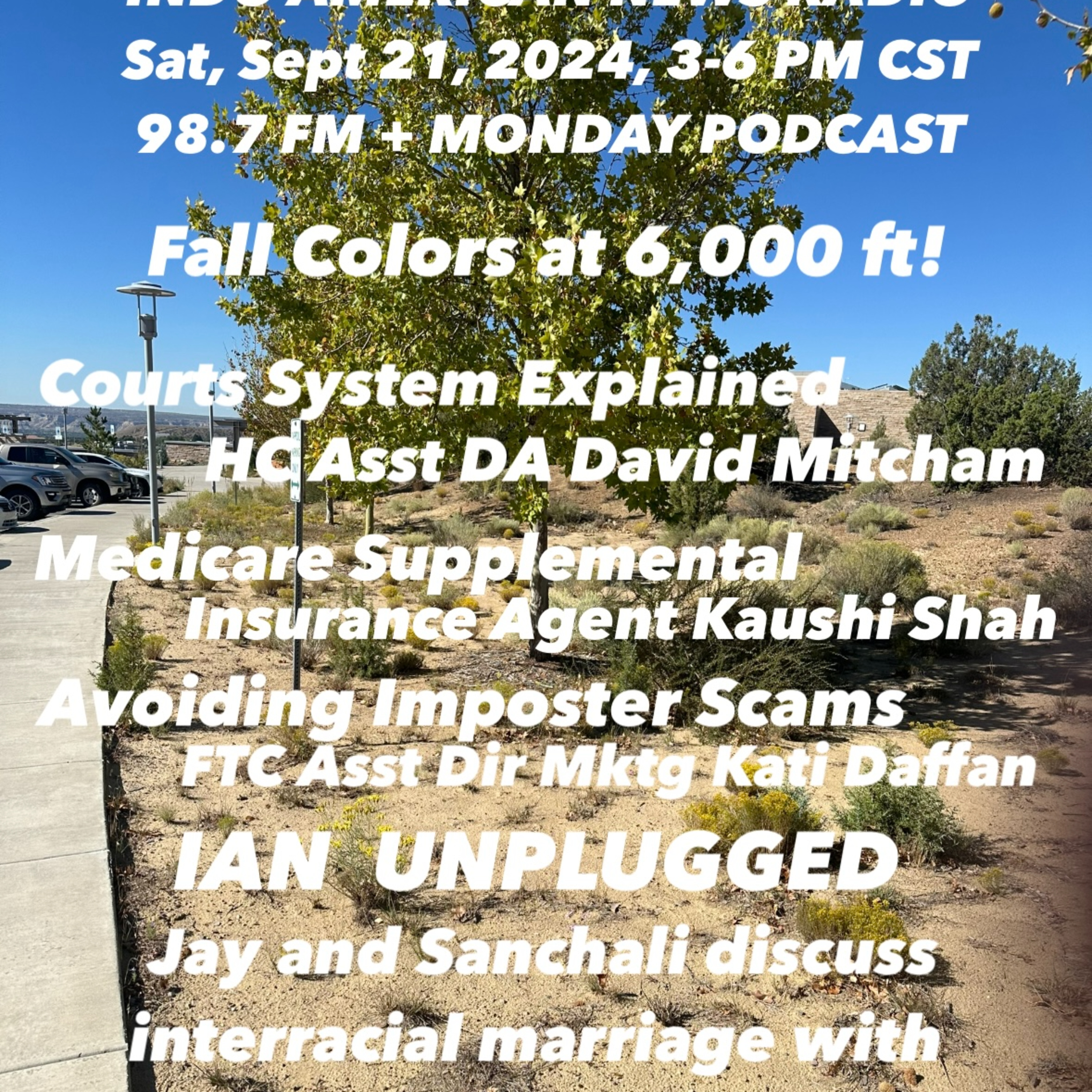 IANR 2438 092124 HC Asst DA David Mitcham on Courts System; Kaushi Shah on Medicare Supplemental; FTC Asst Dir Mktg Kati Daffan on Impostor Scams episode artwork