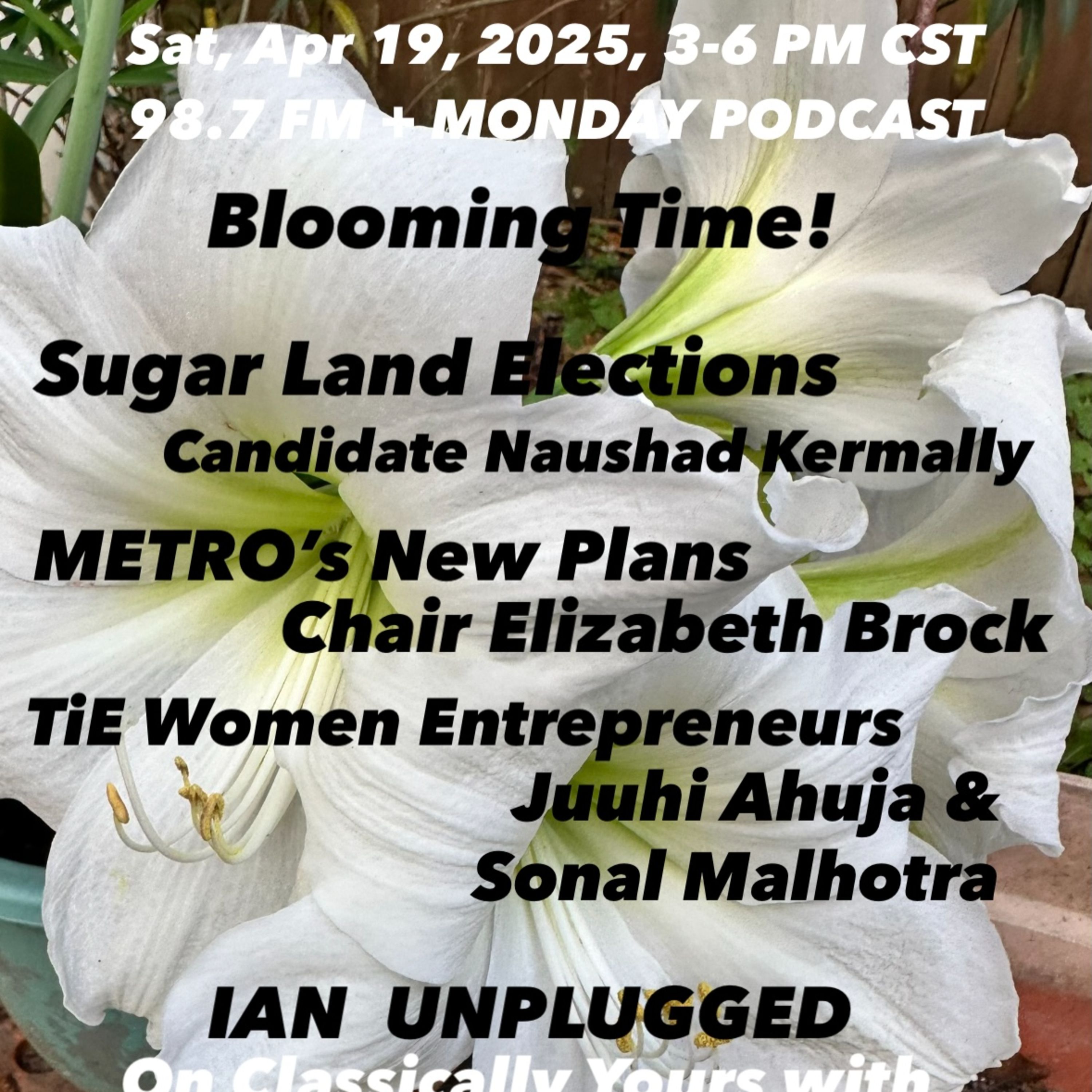IANR 2516 041925 SL Mayoral Candidate Naushad Kermally; METRO's Chair Elizabeth Brock on future plans; TiE Women Entrepreneur Juuhi Ahuja & Pres Somesh Singh episode artwork