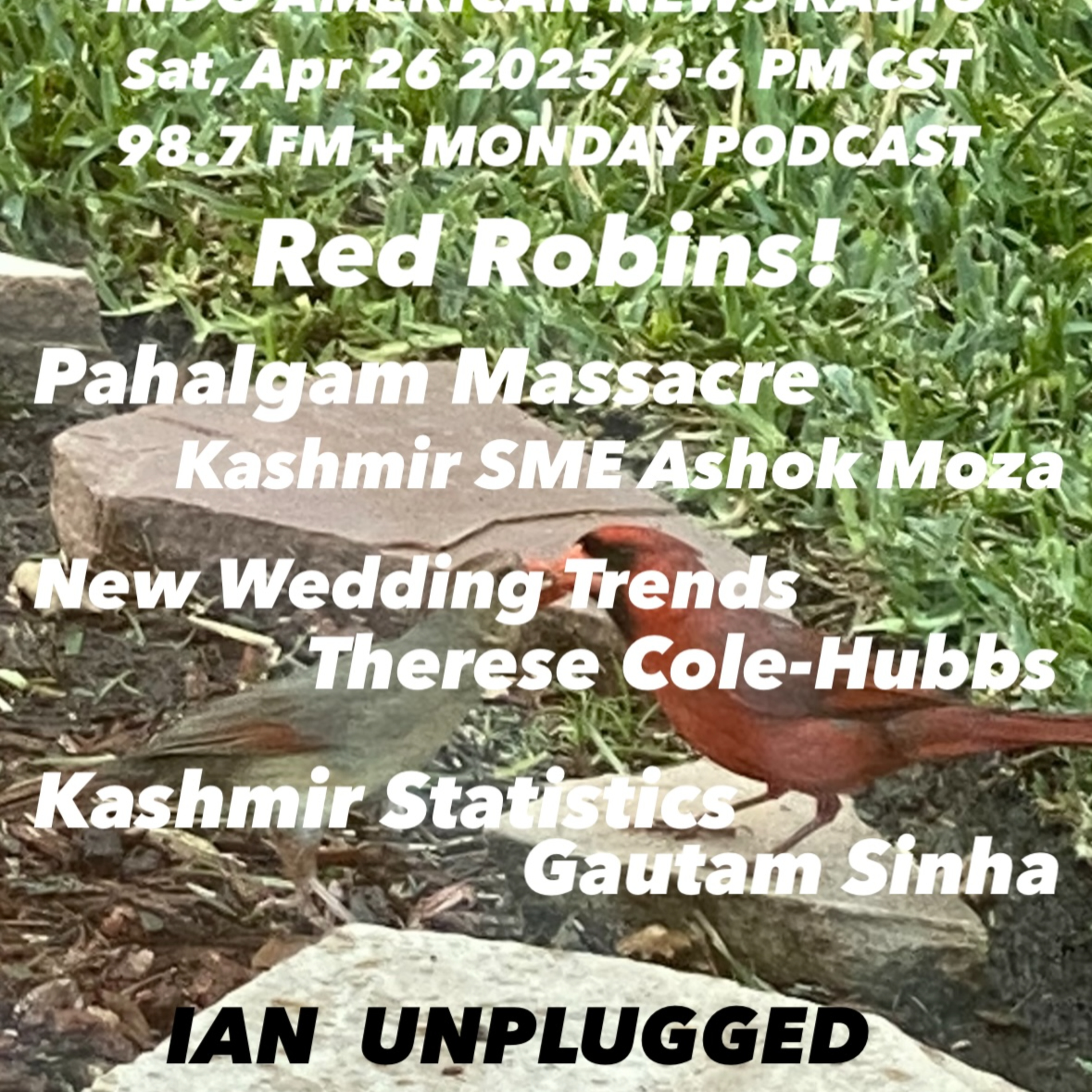 IANR 2517 042625 Pahalgam Massacre by Ashok Moza; New Wedding Trends by Therese Cole-Hubbs; Kashmir Statistics by Gautam Sinha episode artwork