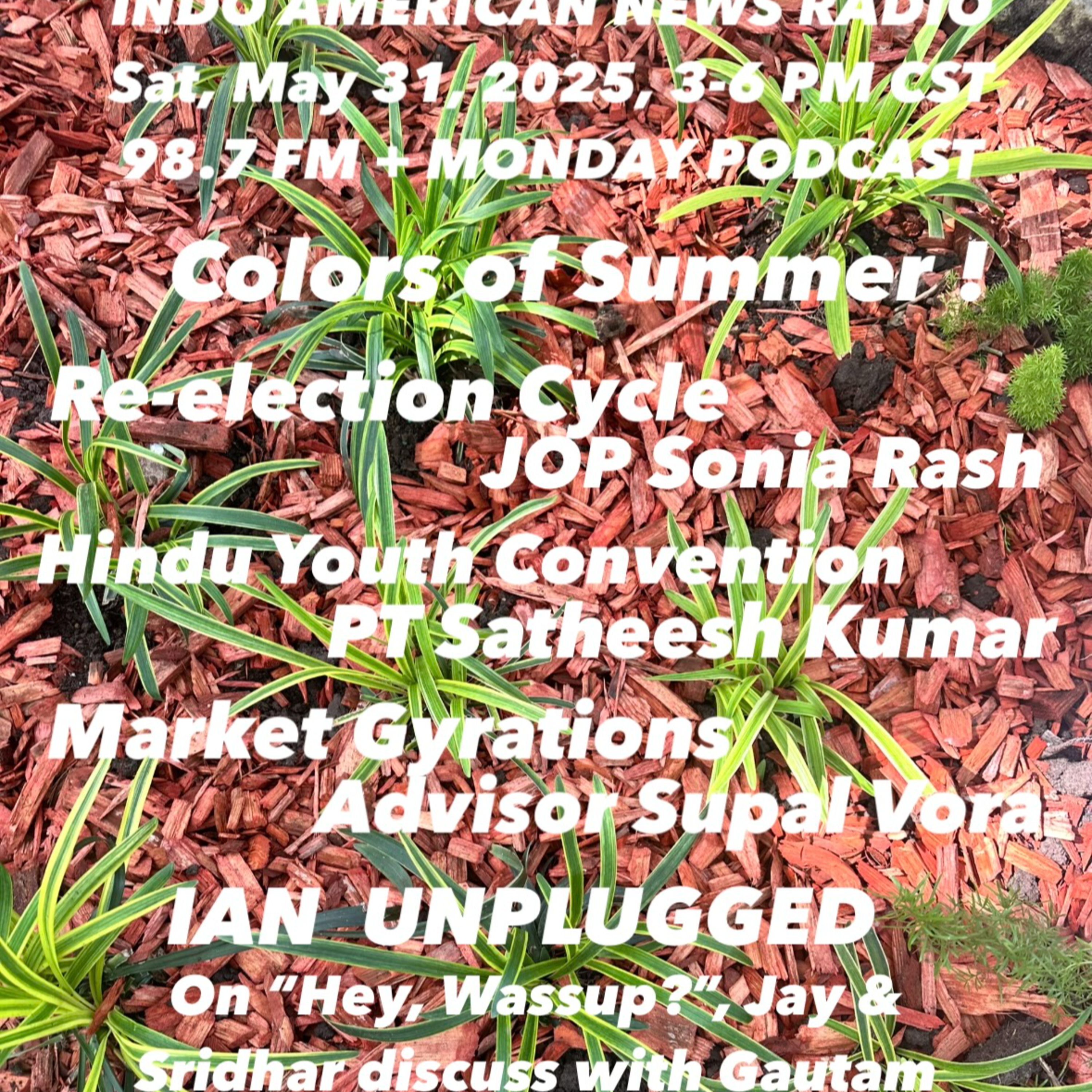 IANR 2522 053125 Re-election Cycle Ft Bend JOP Sonia Rash; Hindu Youth Convention by PT Satheesh Kumar; Market Gyrations by Wealth Advisor Supal Vora episode artwork