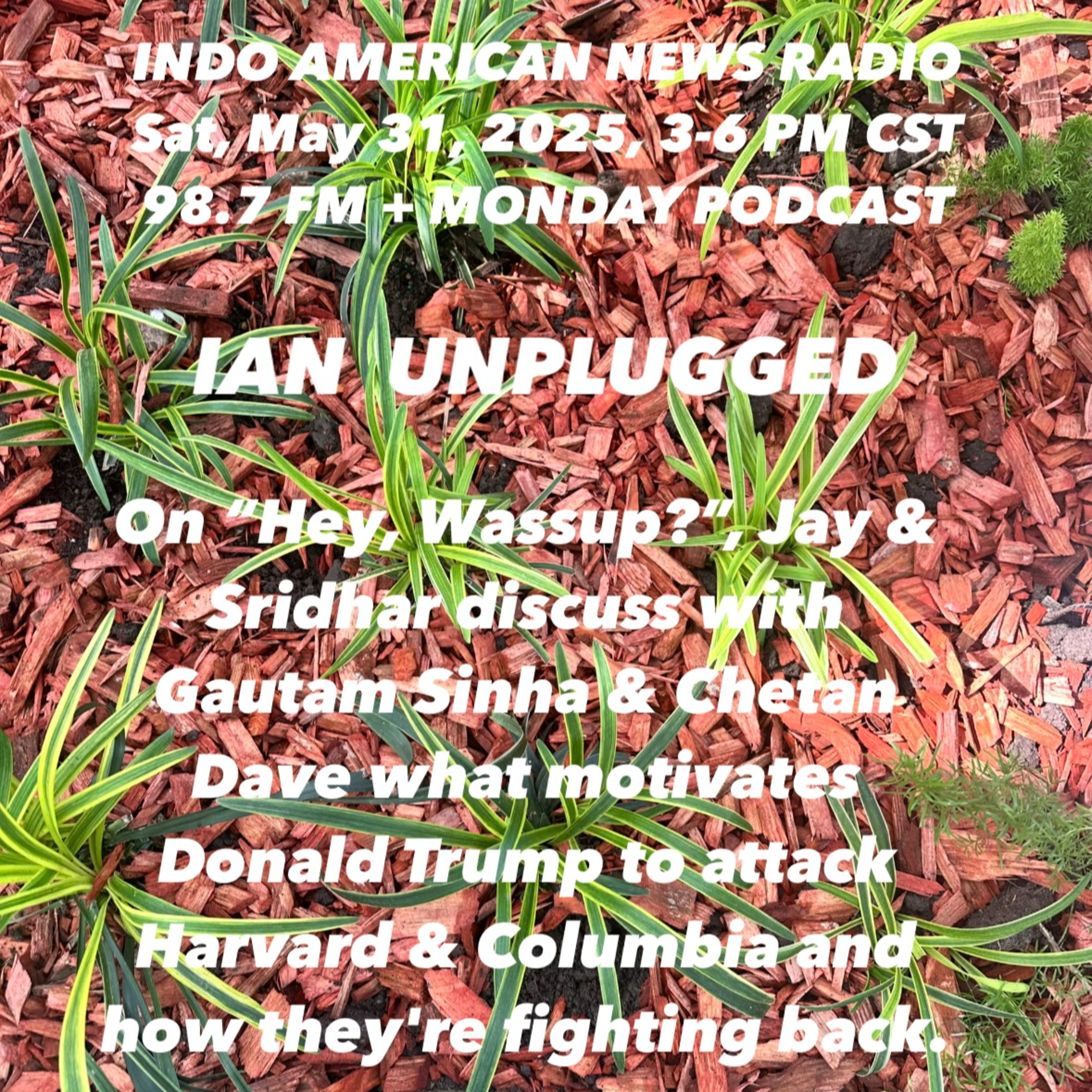 IAN Unplugged 2522 053125 Hey, Wassup, Jay, Sridhar, Gautam, Chetan & Balaji discuss what motivates Donald Trump to attack Harvard & Columbia episode artwork