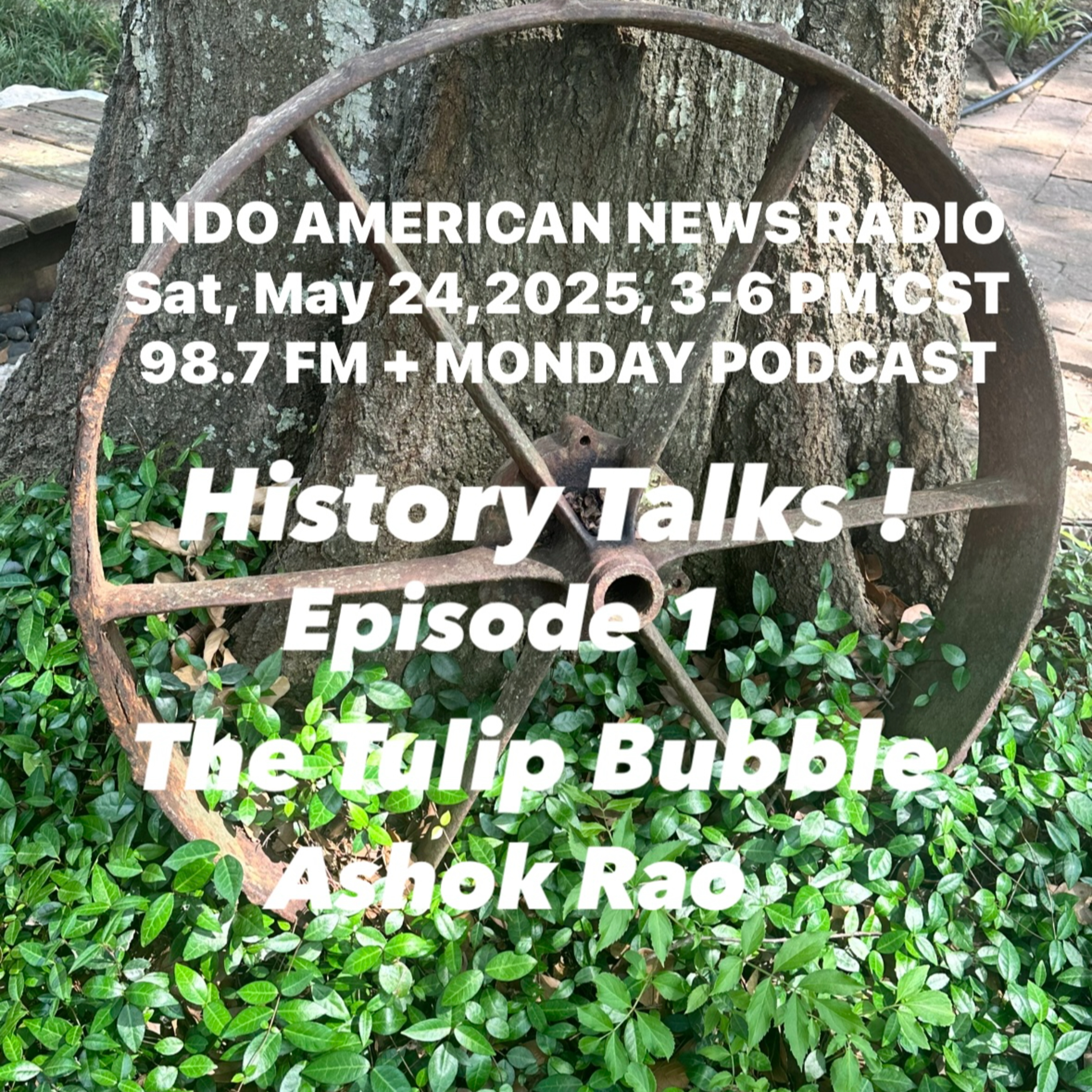 IANR 2521 052425 History Talks Episode 1 The Tulip Bubble by Ashok Rao episode artwork