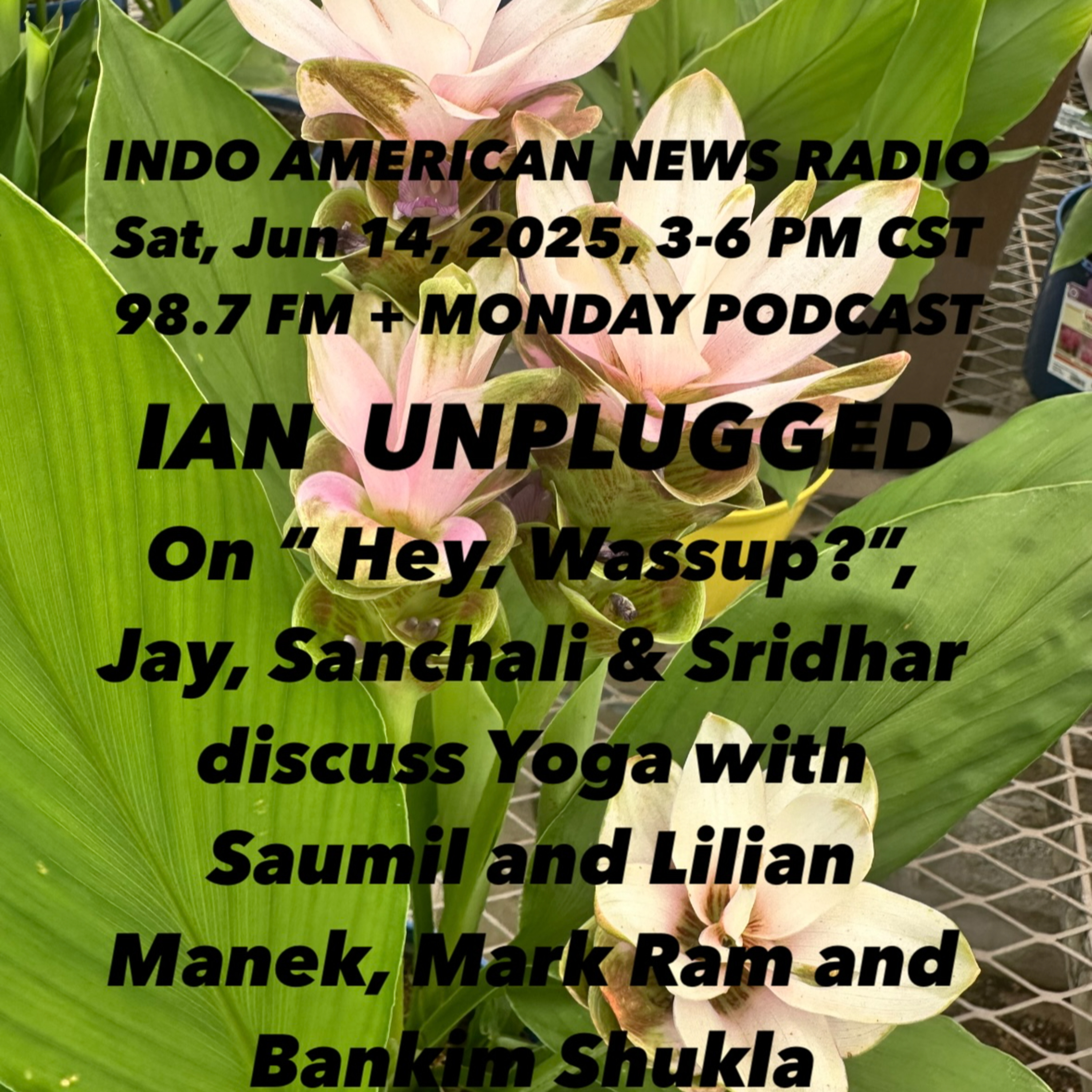 IAN Unplugged 2524 061425 On Hey, Wassup, Jay & Sanchali discuss the Int'l Day of Yoga wih Saumil & Lillian Manek, Bankim Shukla & Mark Ram episode artwork