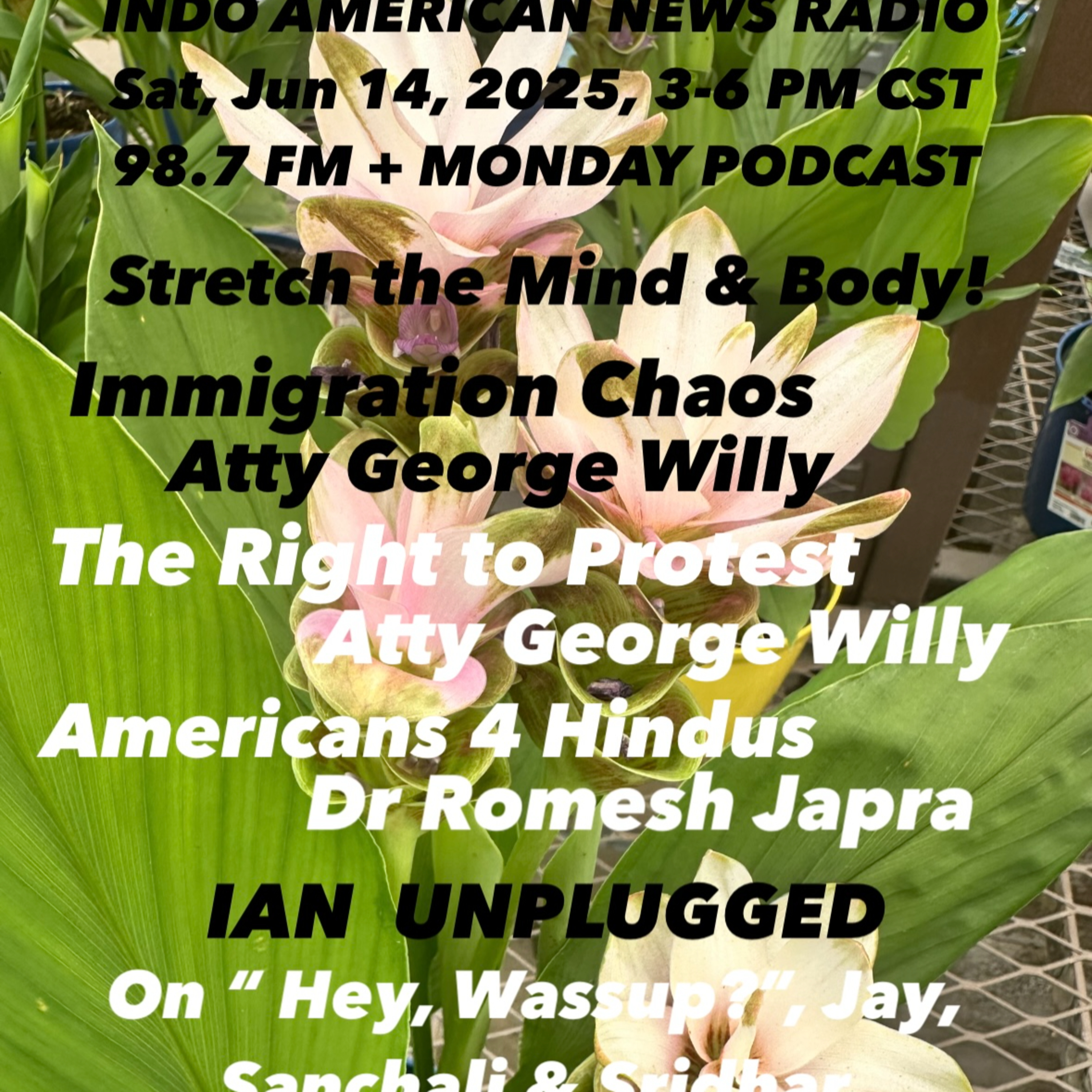 IANR 2524 061425 Immigration Chaos by Atty George Willy, Right to Protest by Atty George Willy & HC Dem Party Chair Mike Doyle, Americans 4 Hindus by Dr Romesh Japra episode artwork