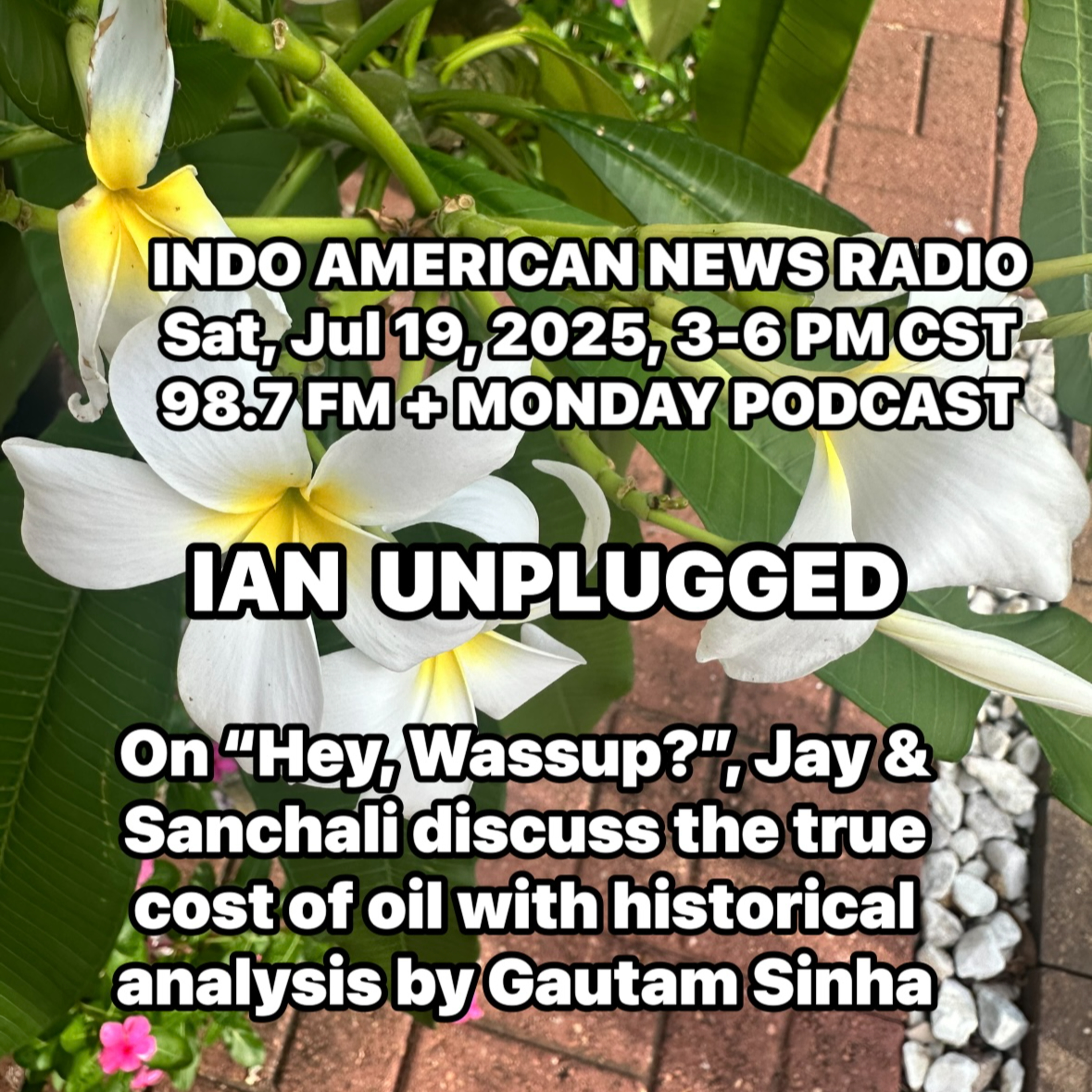 IAN Unplugged 2529 071925 On Hey, Wassup, Jay & Sanchali discuss the True Price of Oil with Gautam Sinha episode artwork