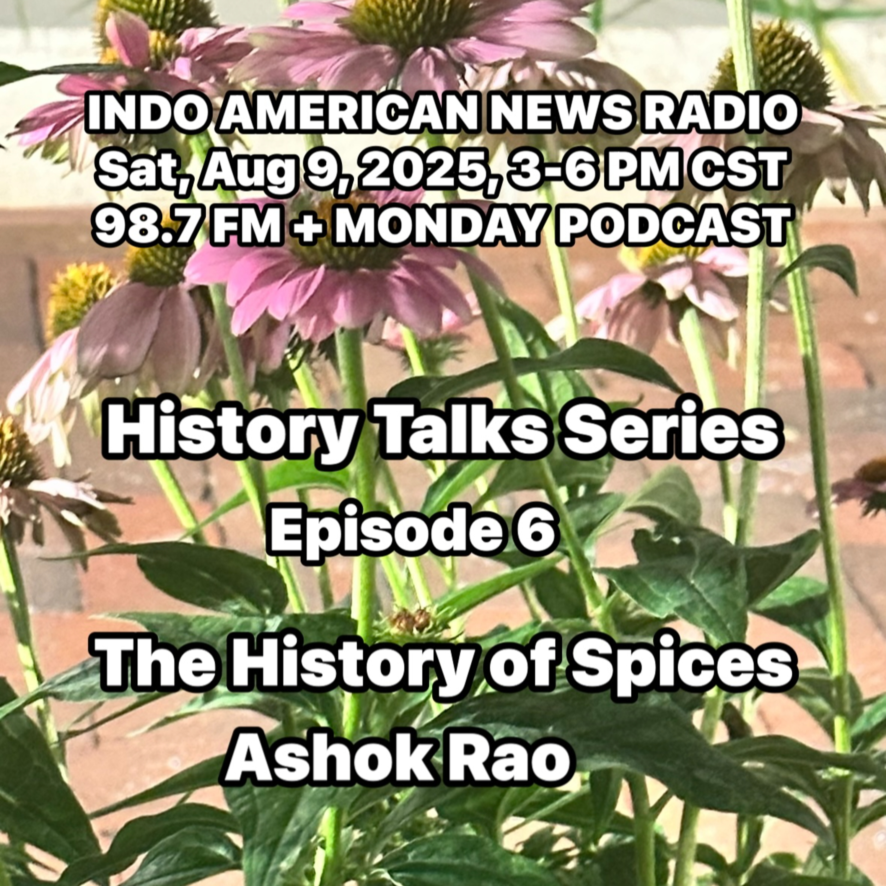 IANR 2532 080925 History Talks Series Ep 6 The History of Spices by Ashok Rao episode artwork