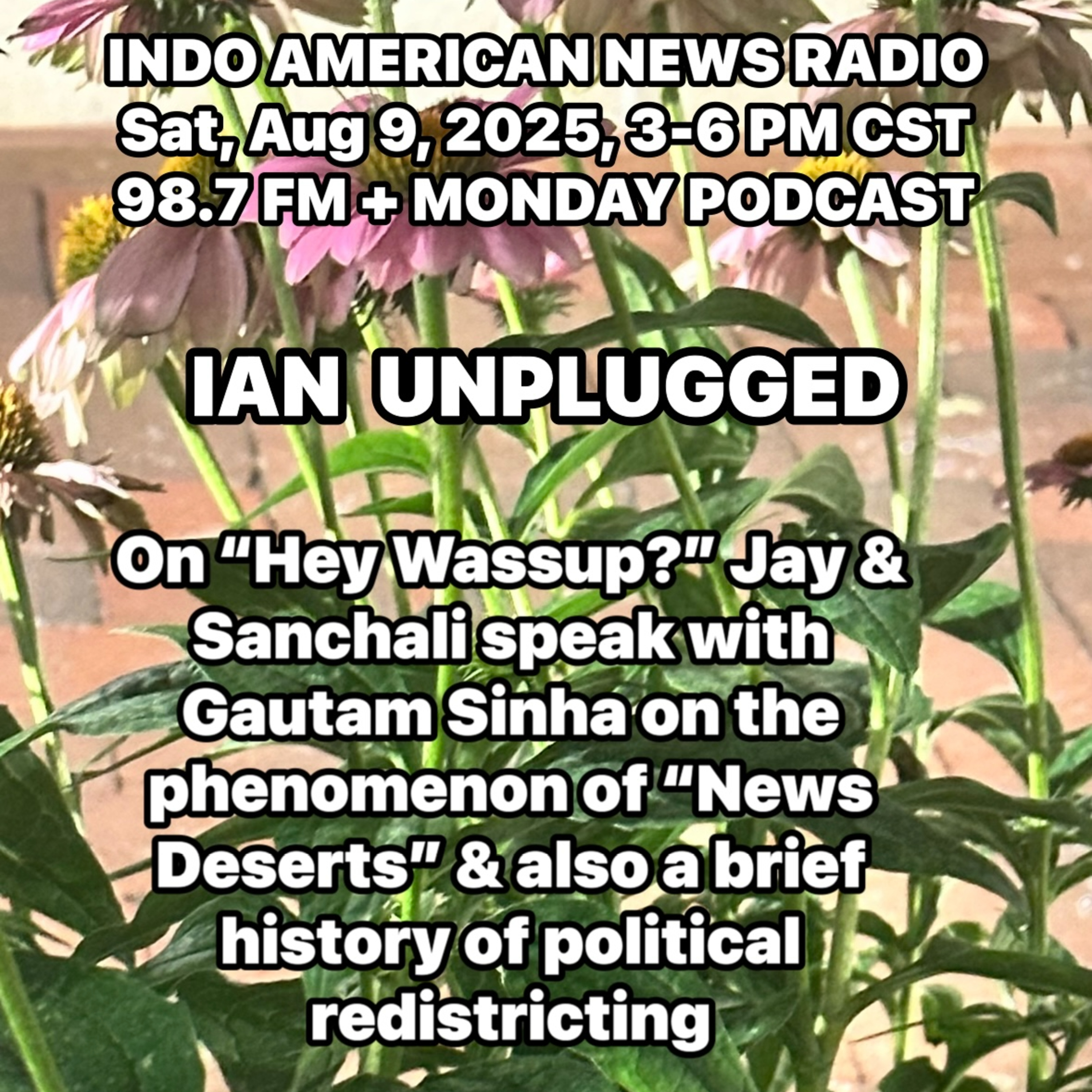 IAN Unplugged 2532 080925 On Hey, Wassup, Jay & Sanchali discuss Texas Redistricing & News Deserts with Gautam Sinha episode artwork