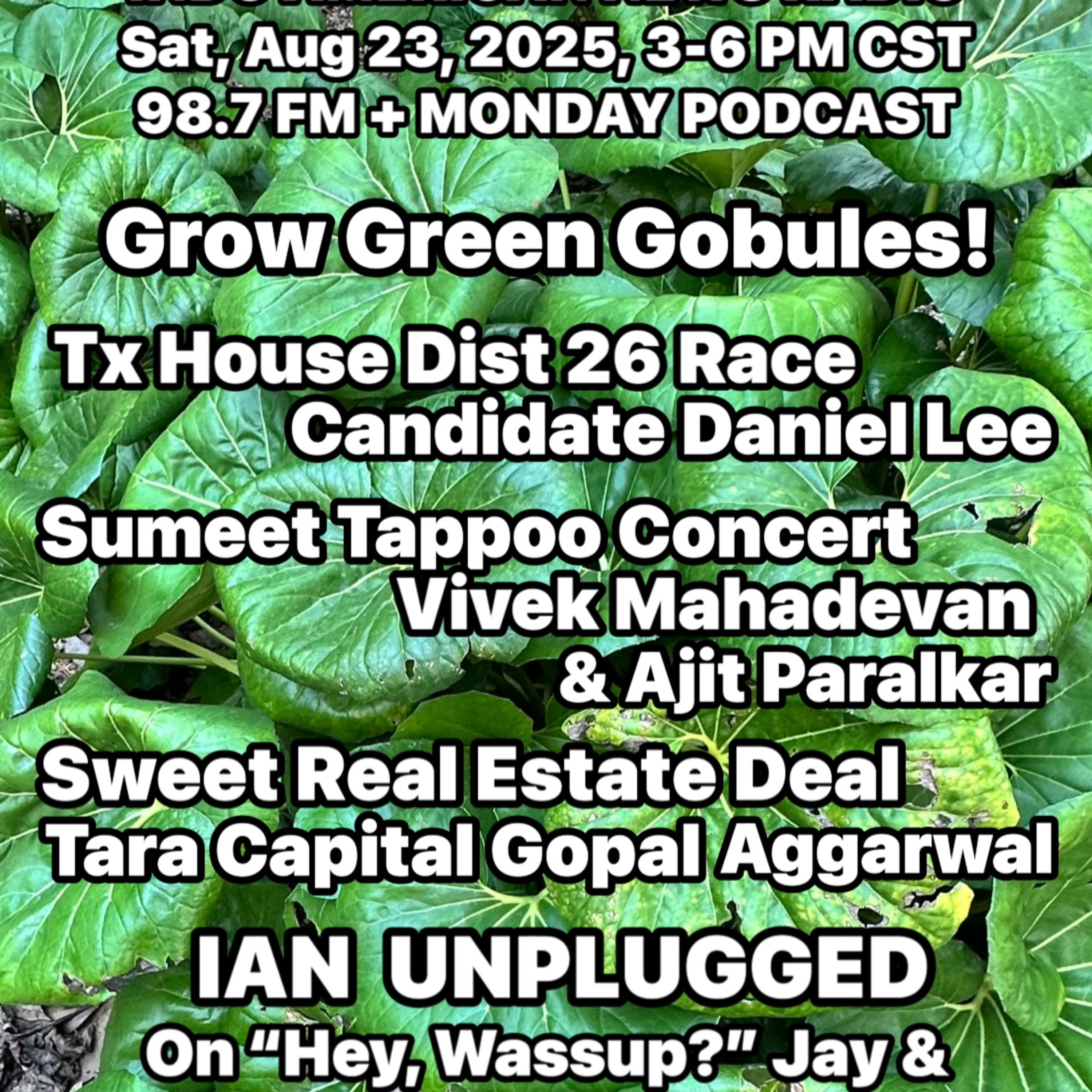 IANR 2534 082325 TX House Dist 26 contender Daniel Lee, Sumeet Tappoo concert for OWOF by Vivek Mahadevan, Tara Capital CEO Gopal Aggarwal on Multi-family investments episode artwork