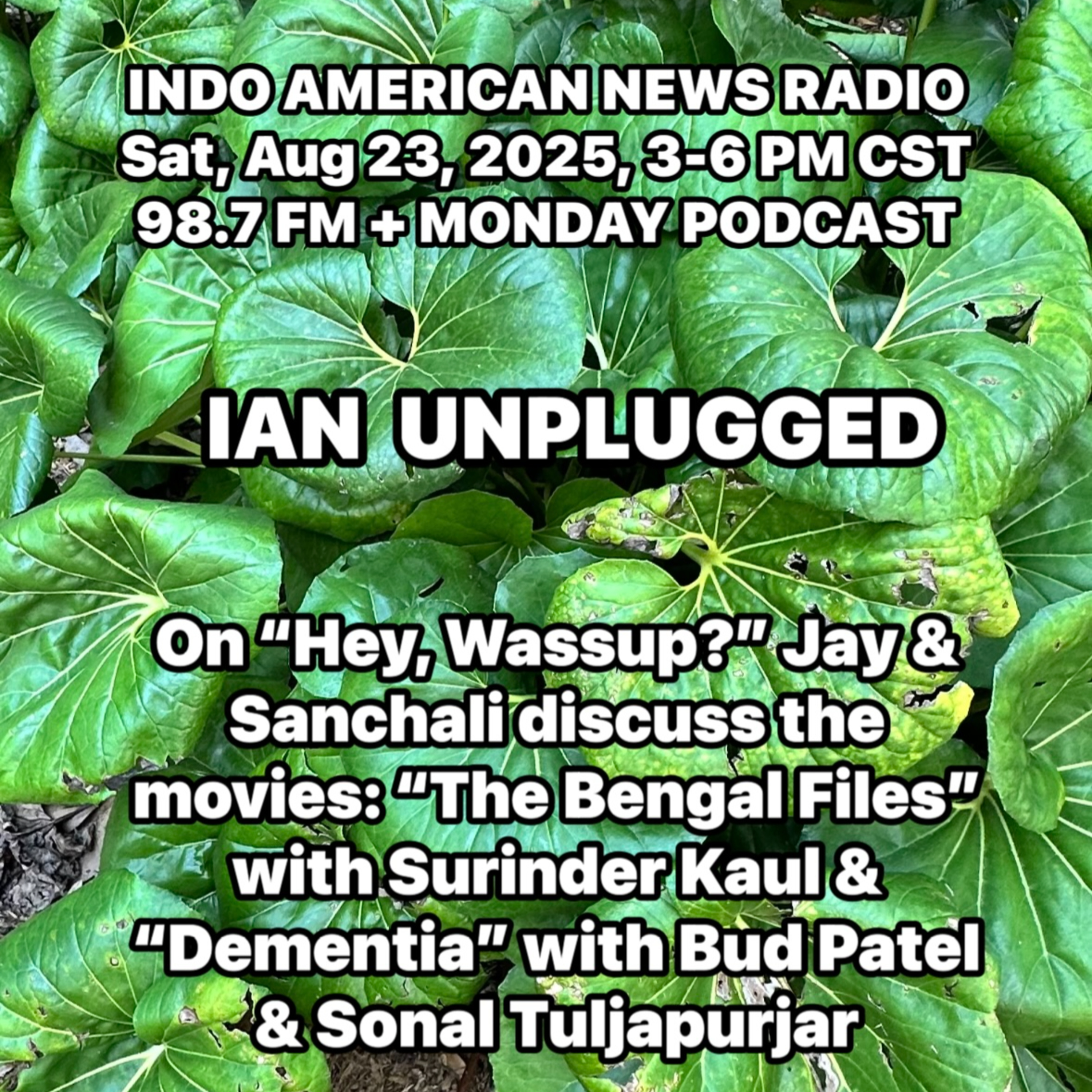 Indo American News Radio Houston TX