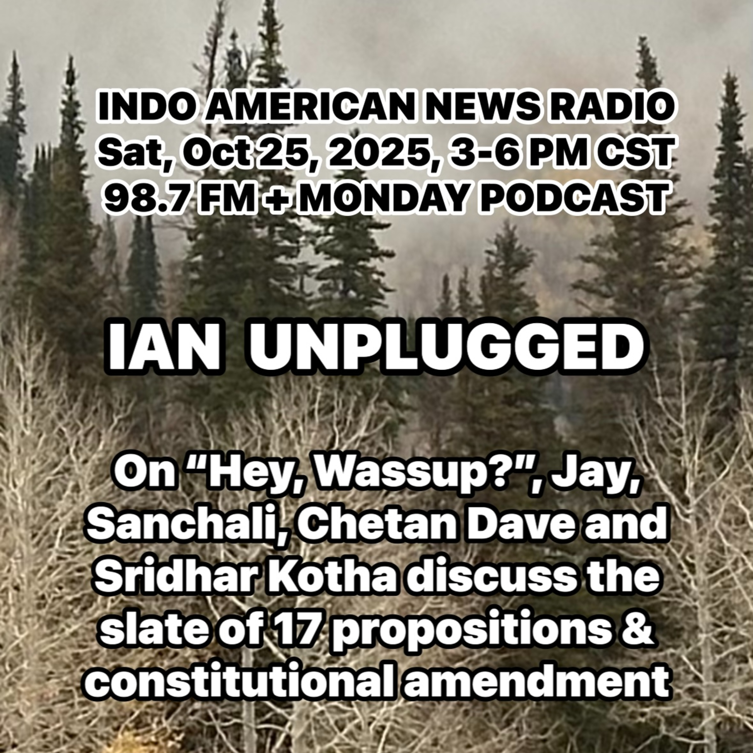 IAN Unplugged 2543 102525 On Hey Wassup, Jay, Sanchali & Chetan discuss the slate of 17 propositions & constitutional amendment episode artwork