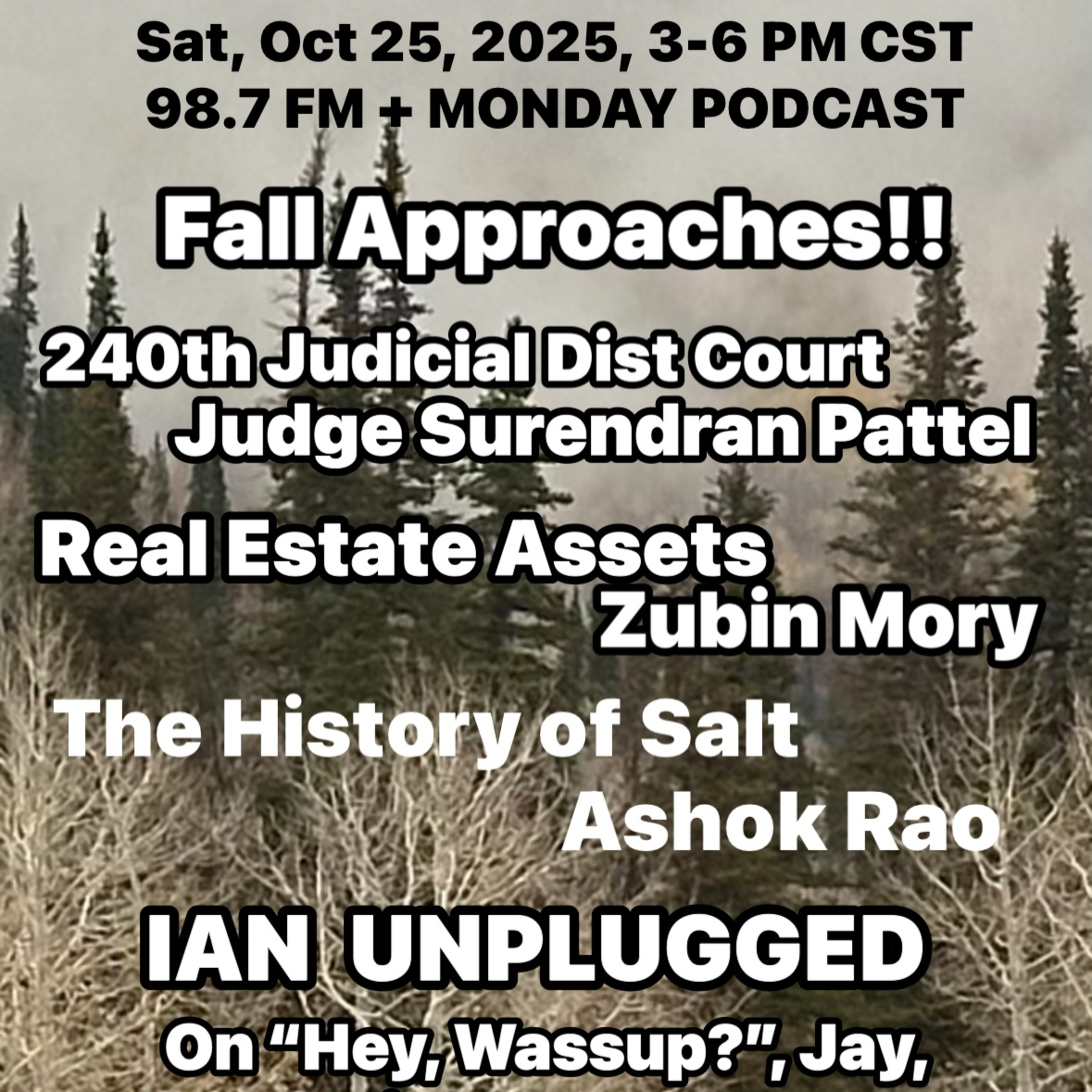 Indo American News Radio Houston TX