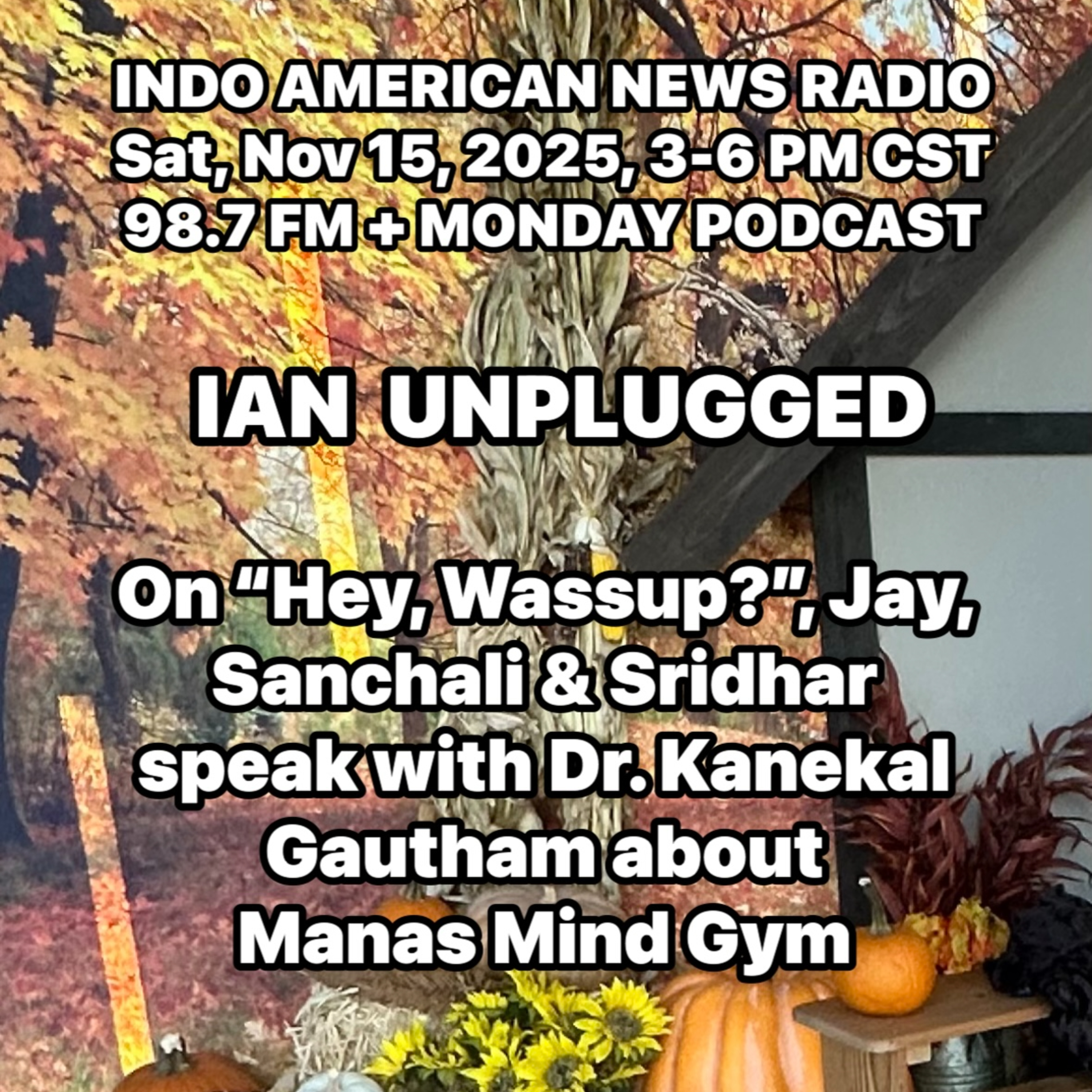 IAN Unplugged 2546 111525 On Hey, Wassup, Jay, Sanchali & Sridhar speak with Dr Kanekal Gautham about Manas Mind Gym episode artwork