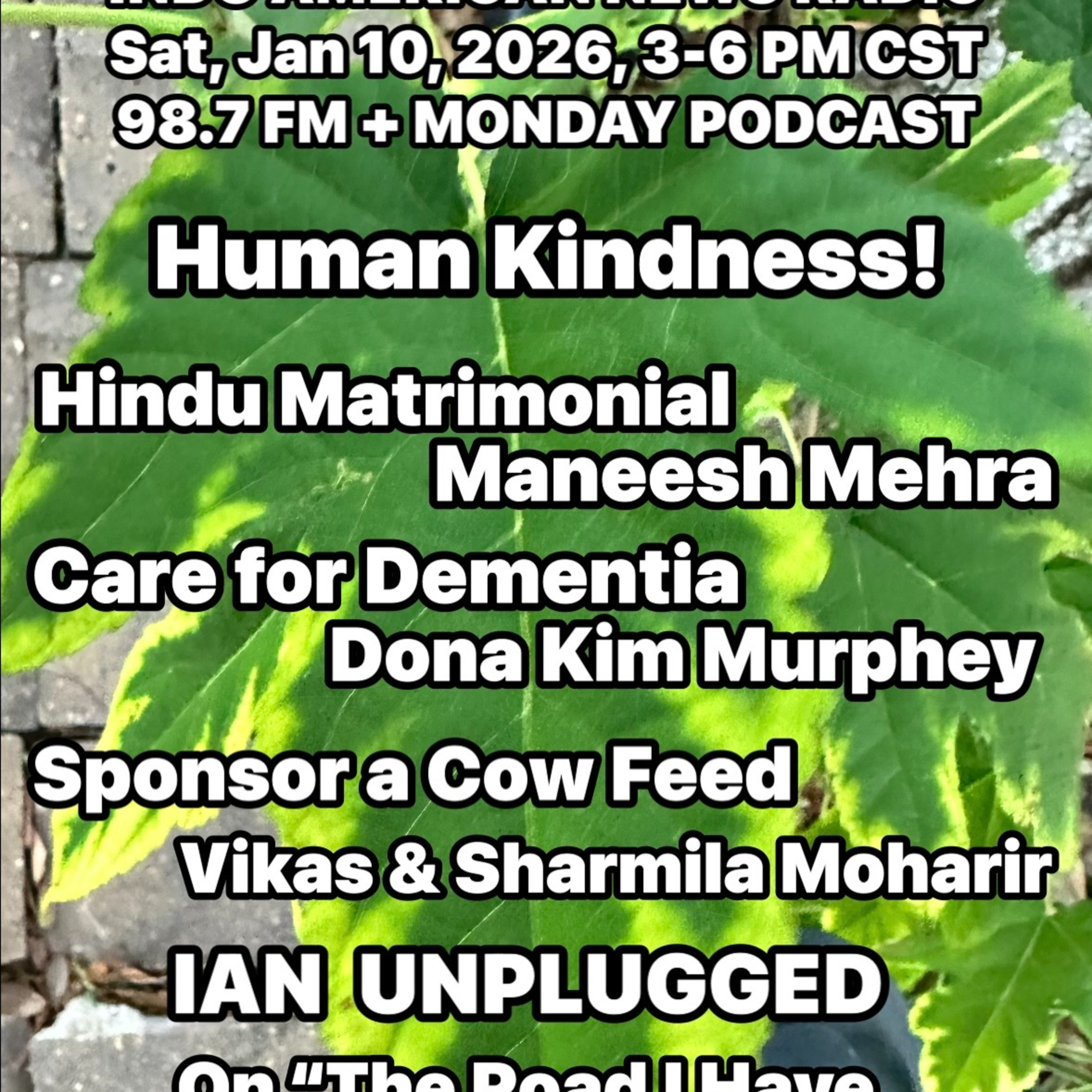 IANR 2602 011026 Maneesh Mehra on Hindu Matrimonial, Assistance for Dementia Care by Dona Kim Murphey, Sponsor A Cow Feed by Vikas & Sharmila Moharir episode artwork