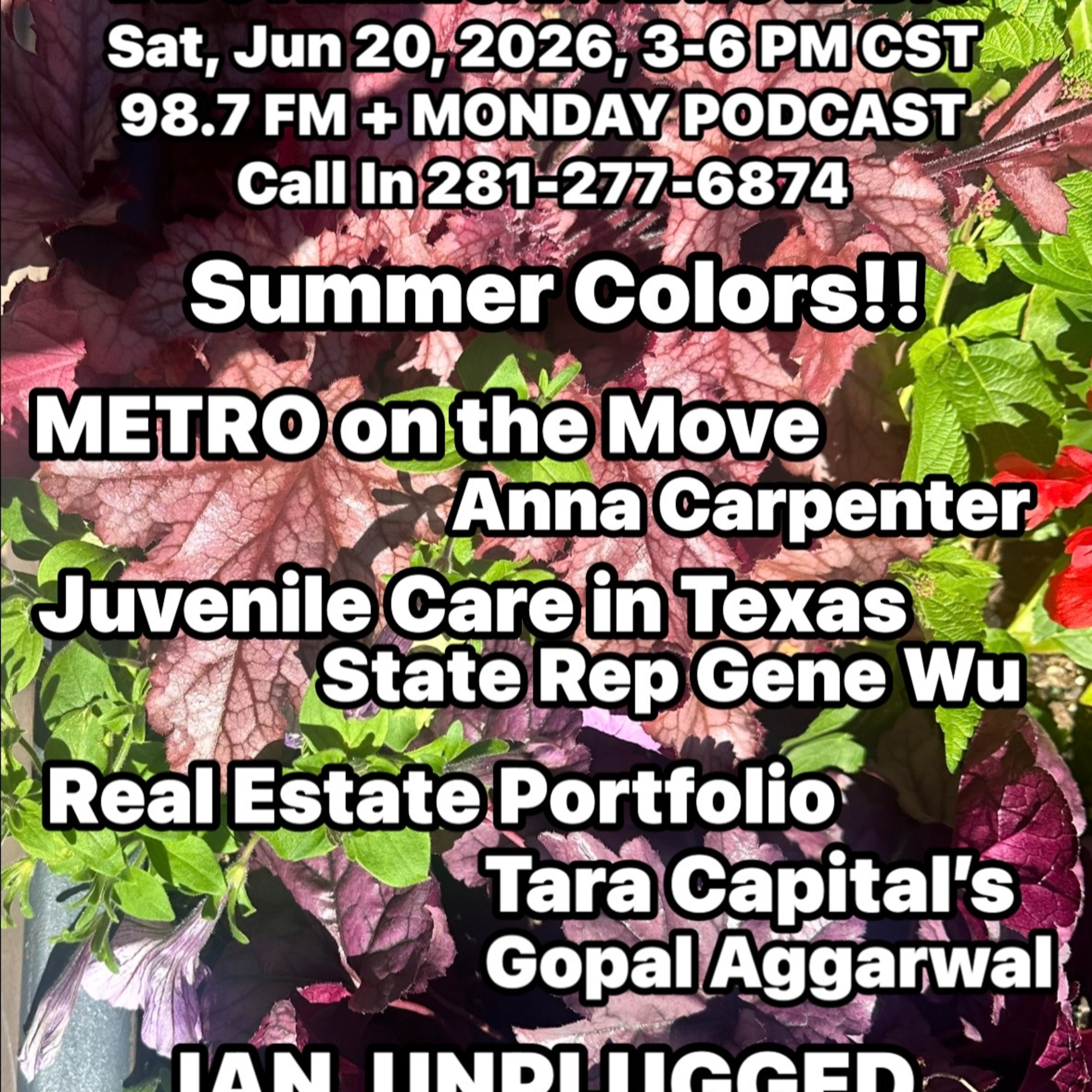 IANR 2625 062026 Comm. Dir. Anna Carpenter on METRO's plans, State Rep Gene Wu on Youth Education, Tara Capital CEO Gopal Aggarwal on Real Estate Portfolio episode artwork