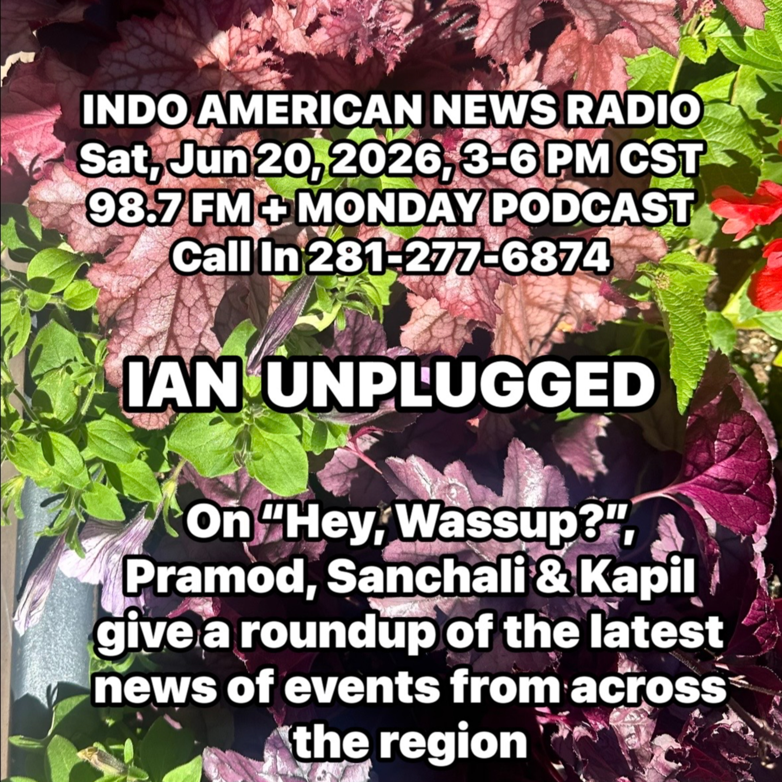 IAN Unplugged 2625 062026 On News You Can Use, Pramod, Sanchali & Kapil discuss news stories episode artwork