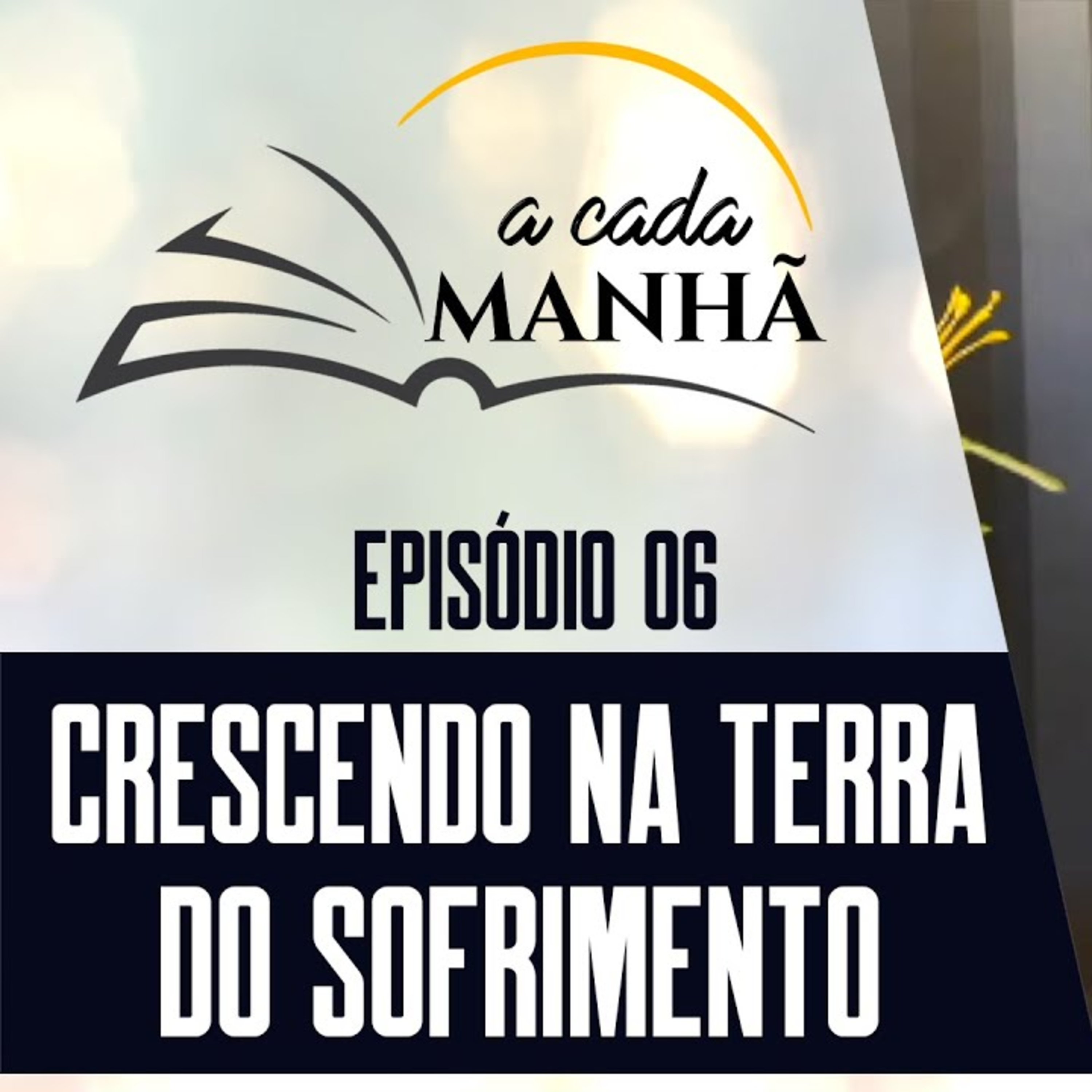 PROGRAMA: A CADA MANHÃ || EP.06 - CRESCENDO NA TERRA DO SOFRIMENTO || Pr. Márcio Santos episode artwork