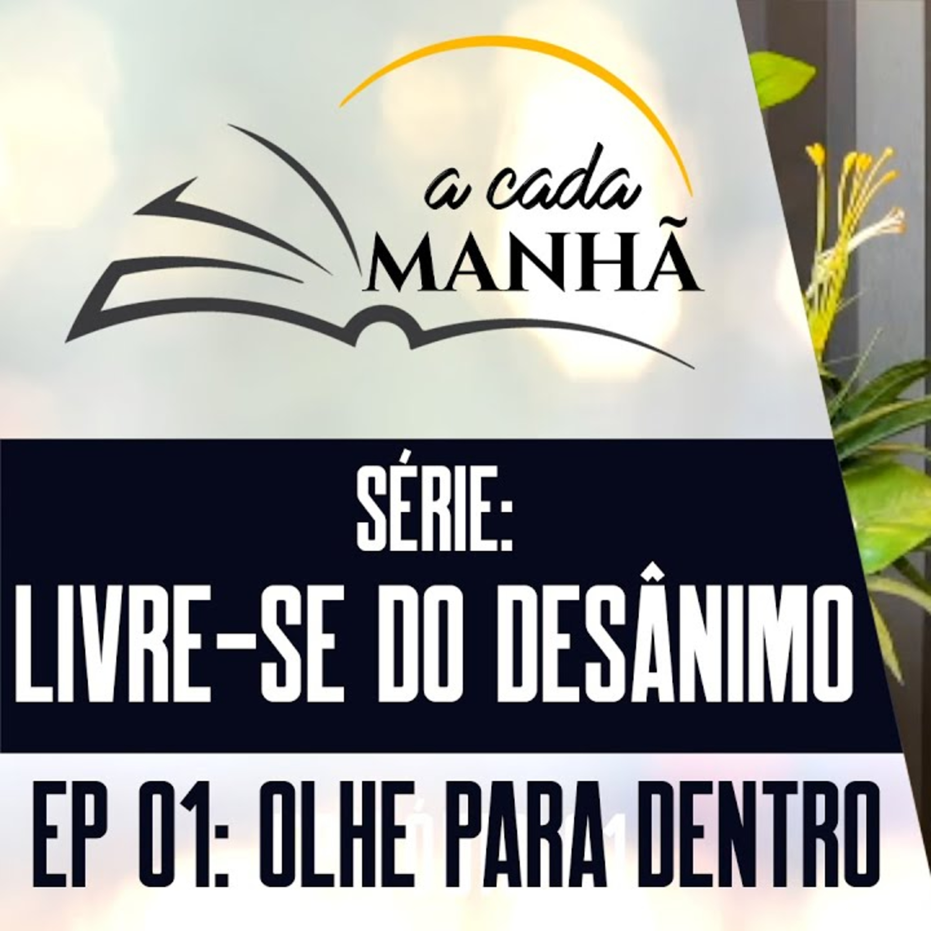 PROGRAMA: A CADA MANHÃ || SÉRIE - LIVRE-SE DO DESÂNIMO ||10.07 - EPISÓDIO 01 - OLHE PARA DENTRO episode artwork