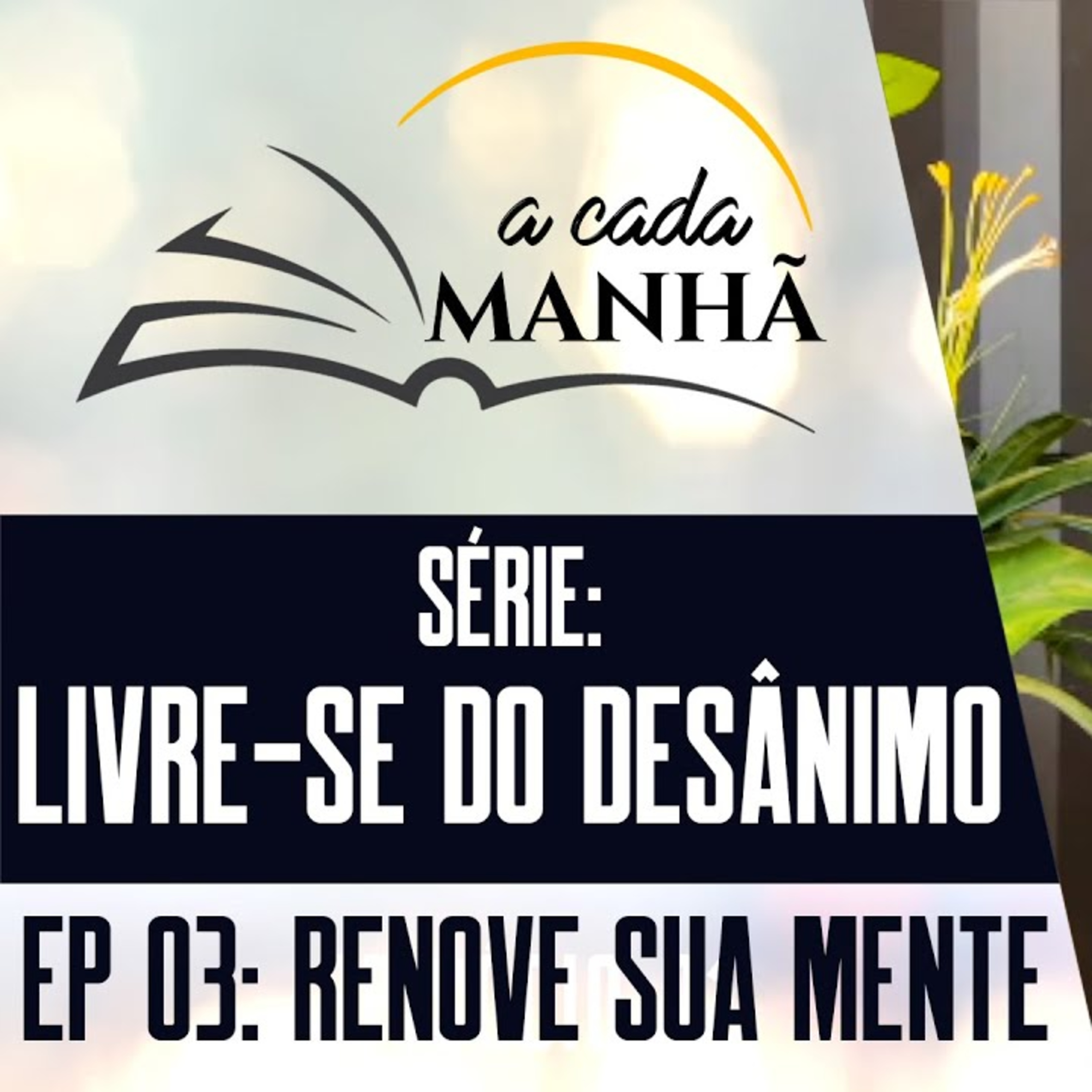 PROGRAMA: A CADA MANHÃ || SÉRIE - LIVRE-SE DO DESÂNIMO ||14.07 - EPISÓDIO 03 - RENOVE A SUA MENTE episode artwork