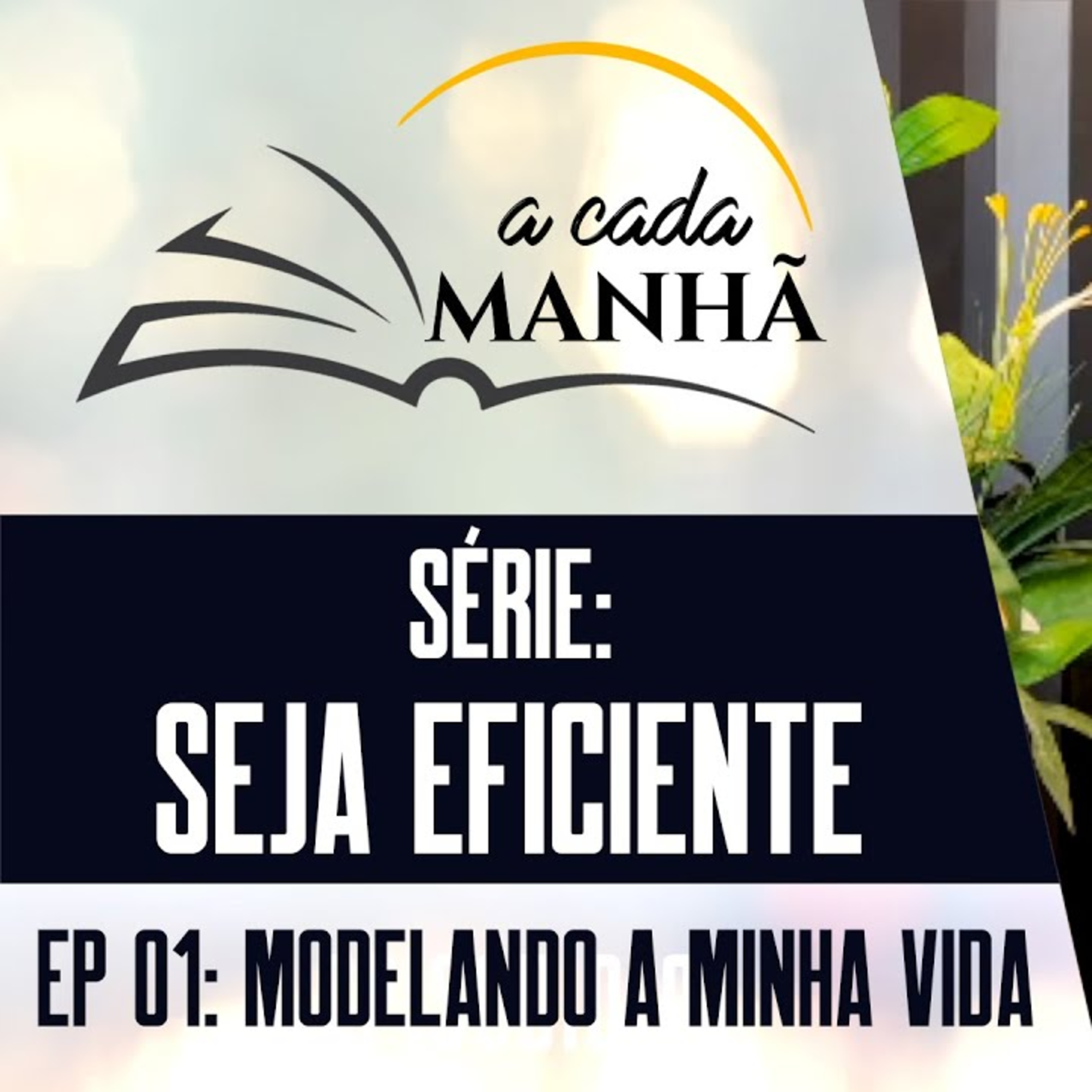 PROGRAMA: A CADA MANHÃ || SÉRIE: SEJA EFICIENTE ||17.07 || EPISÓDIO 01 - MODELANDO A MINHA VIDA episode artwork