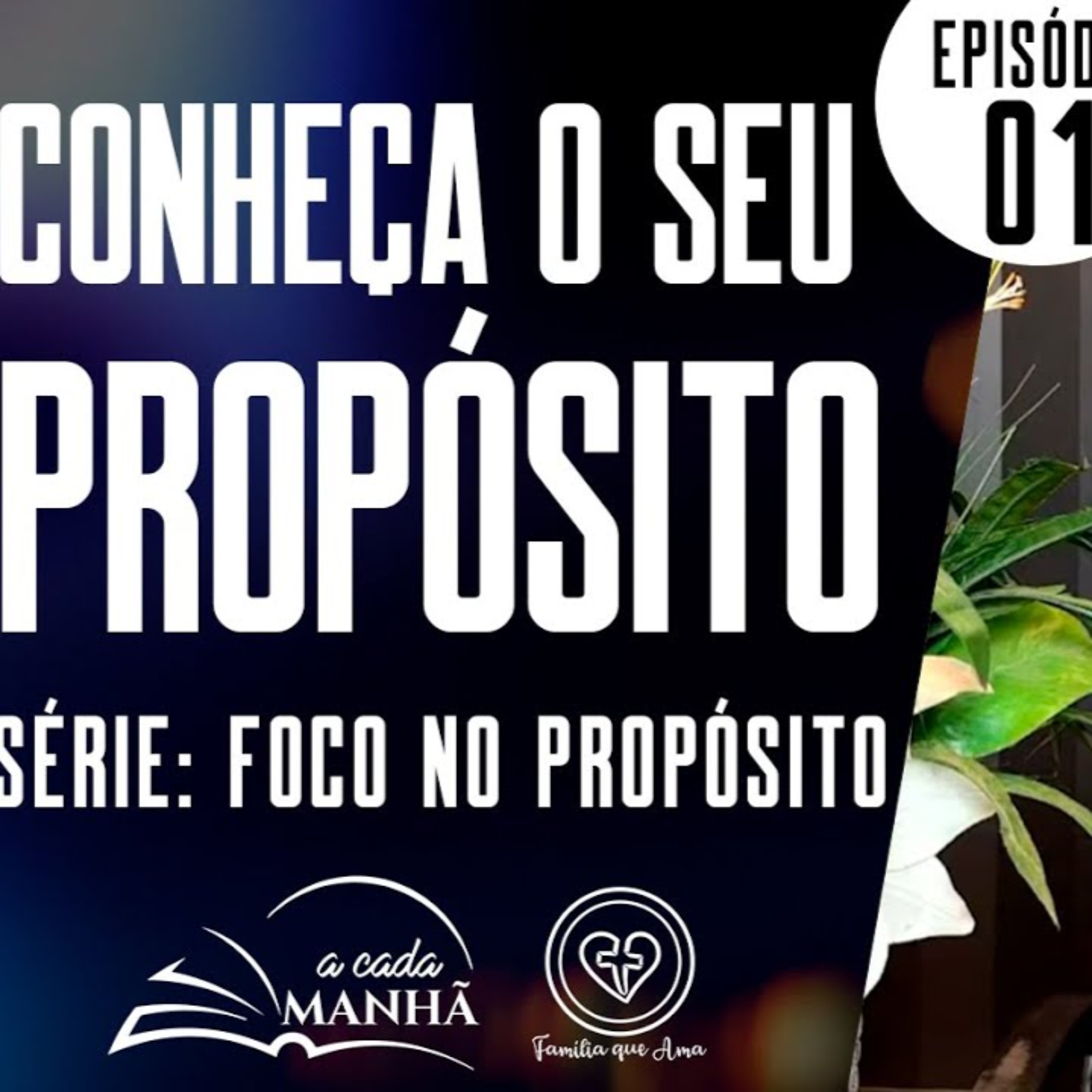 PROGRAMA: A CADA MANHÃ || SÉRIE: FOCO NO PROPÓSITO ||24.07 || EPISÓDIO 01 - CONHEÇA O SEU PROPÓSITO episode artwork