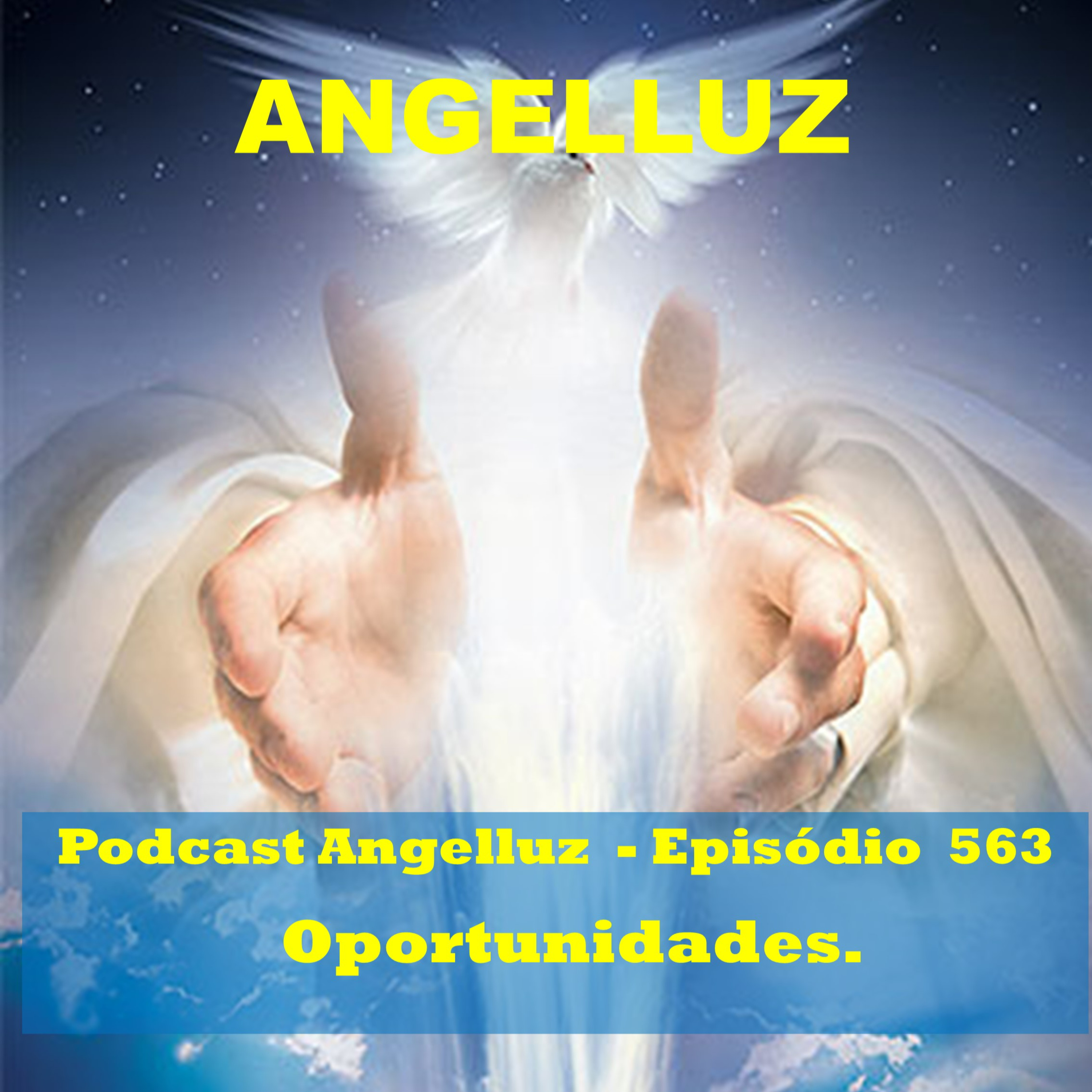 Angelluz – #563 – Oportunidades.