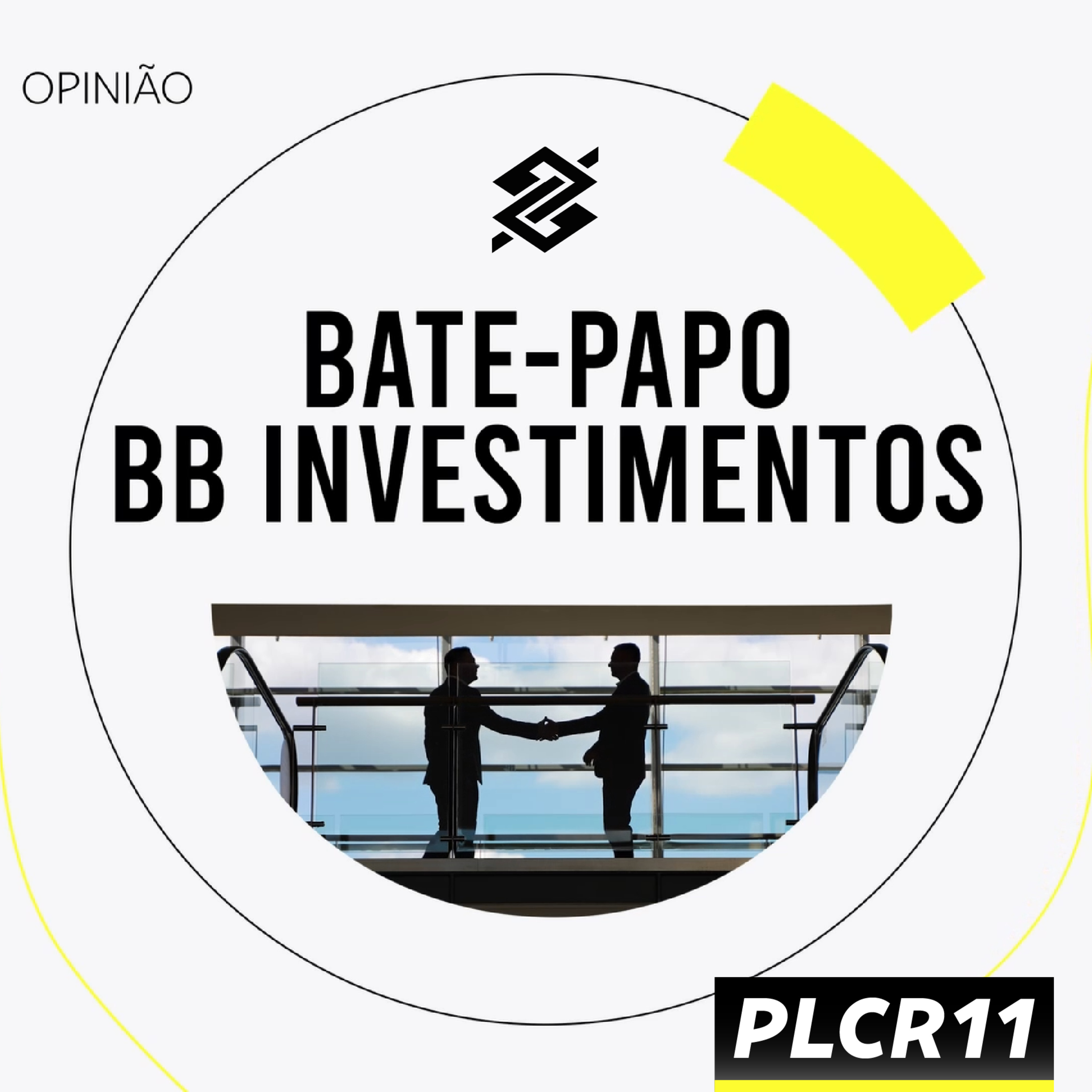 Bate-Papo BB Investimentos - Plural Gestão de Recursos: PLCR11