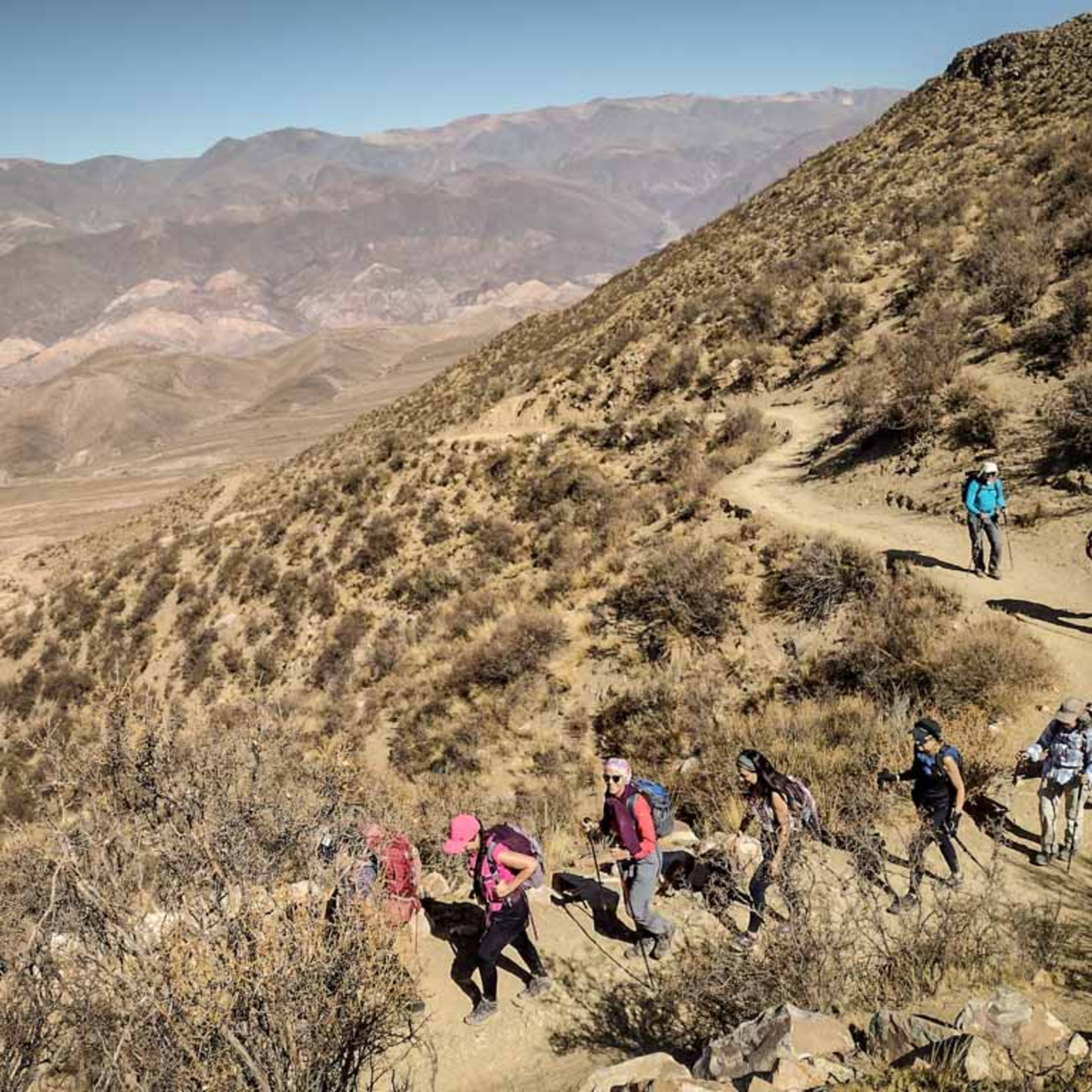 De la Puna a la Yunga: trekking Tilcara / Calilegua - Jujuy - Argentina episode artwork