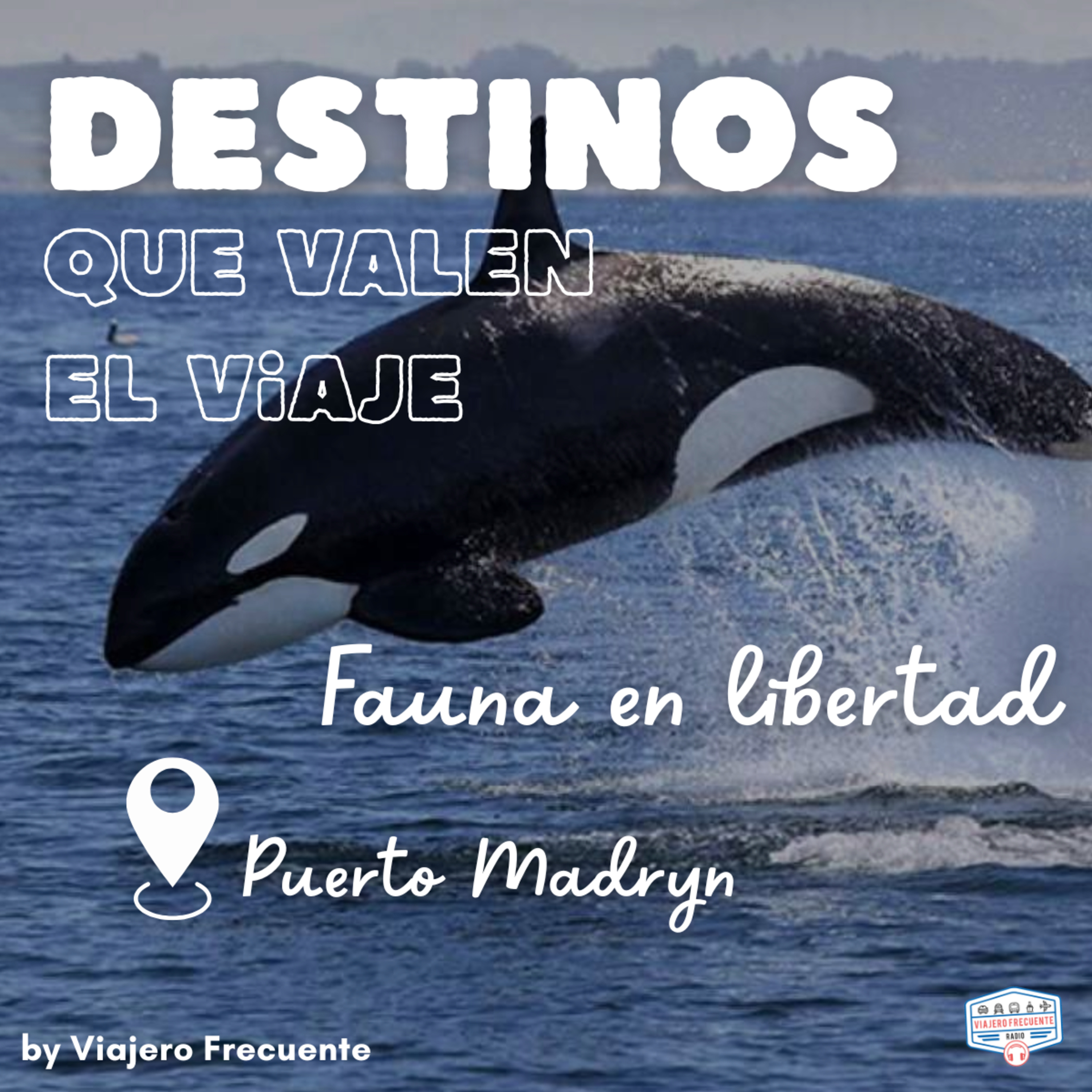 Puerto Madryn: El espectáculo natural de ballenas, orcas y pingüinos con Facu García de Animal Travel 🐋🐧 I Lugares que valen el viaje episode artwork