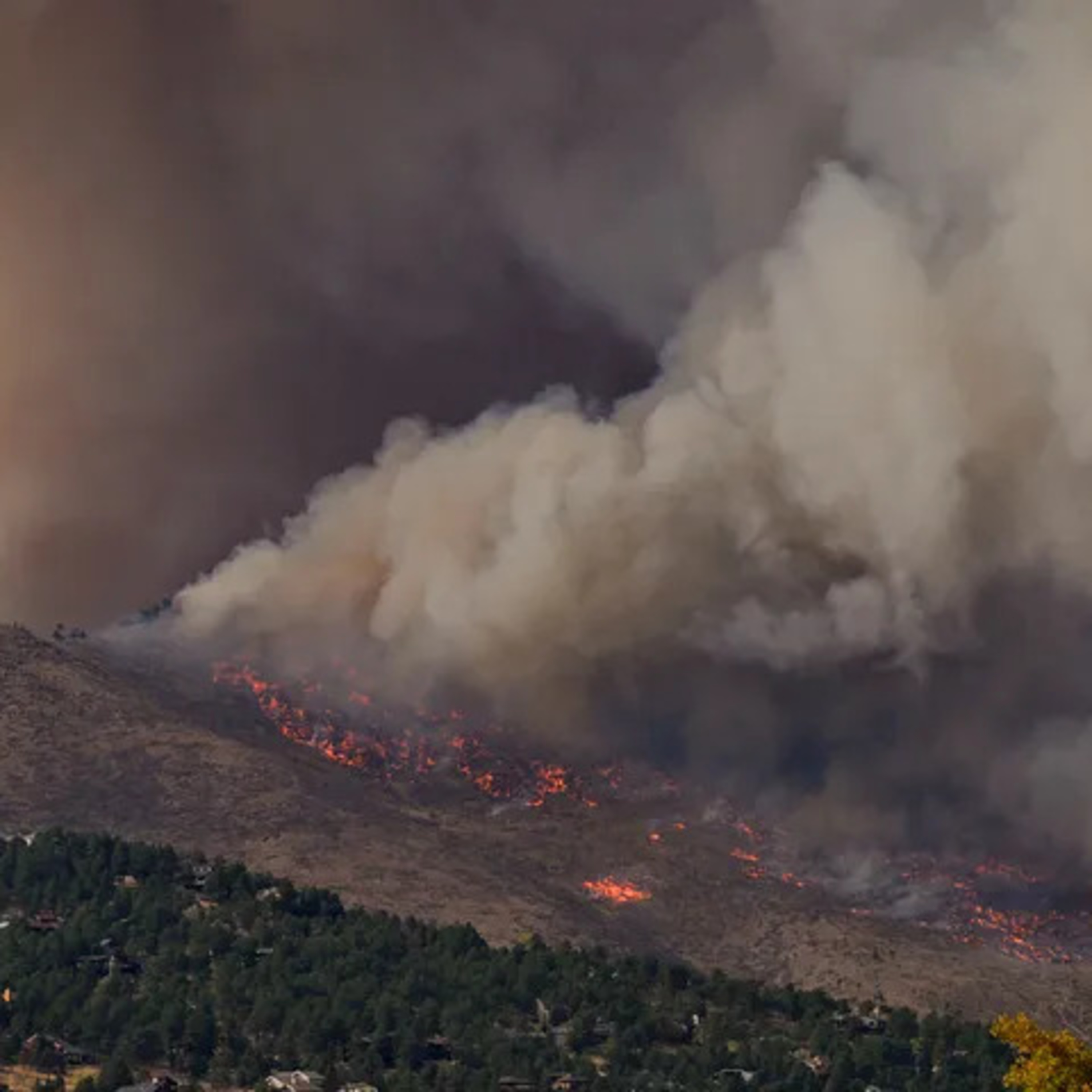Climate News: Mitigating wildfires ⁠with Carsten Brinkschulte from Dryad Networks; The electric car dilemma; Climate records topple in 2023 episode artwork