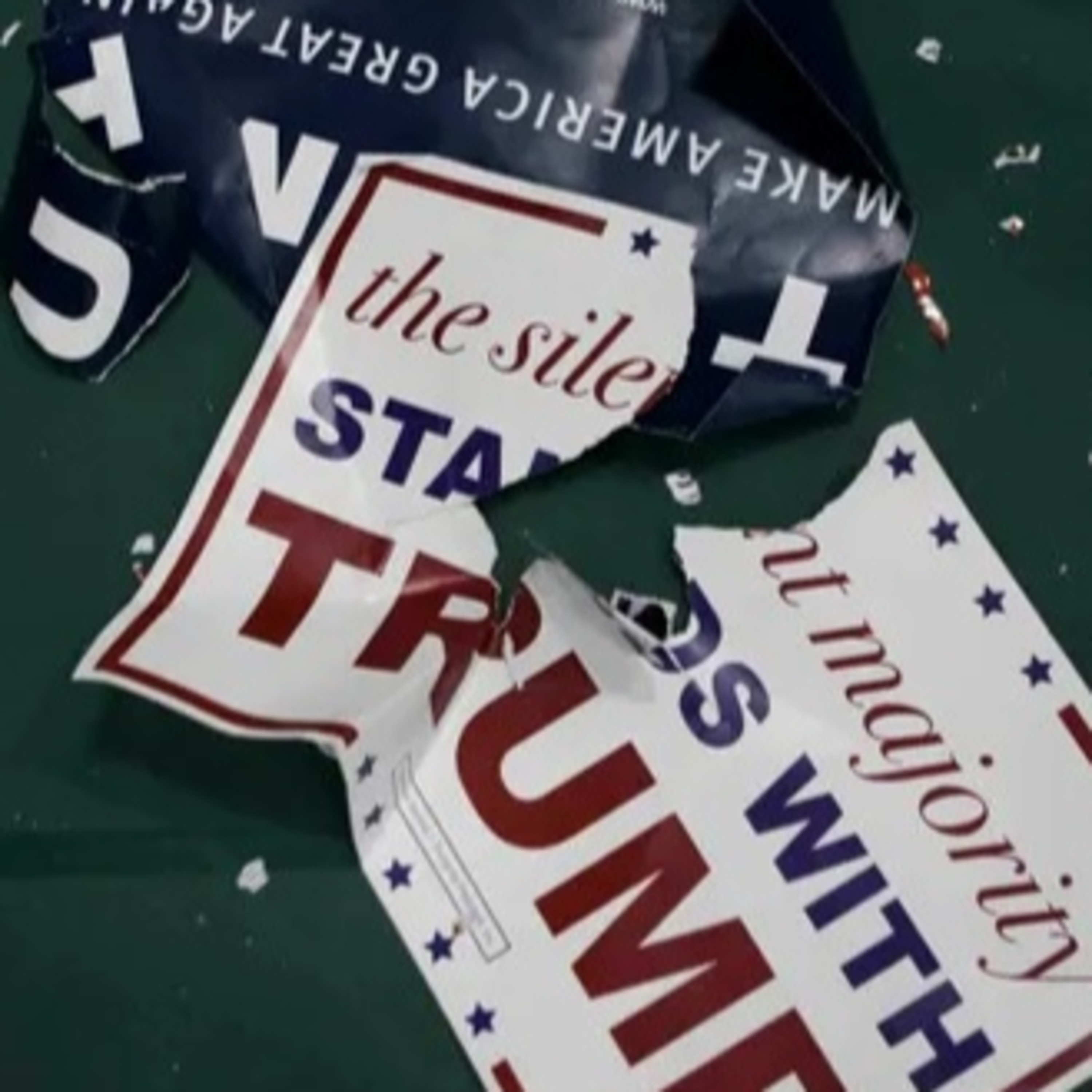 Climate News: Climate conscious 'ordinary Americans' alarmed at the success of Donald Trump episode artwork