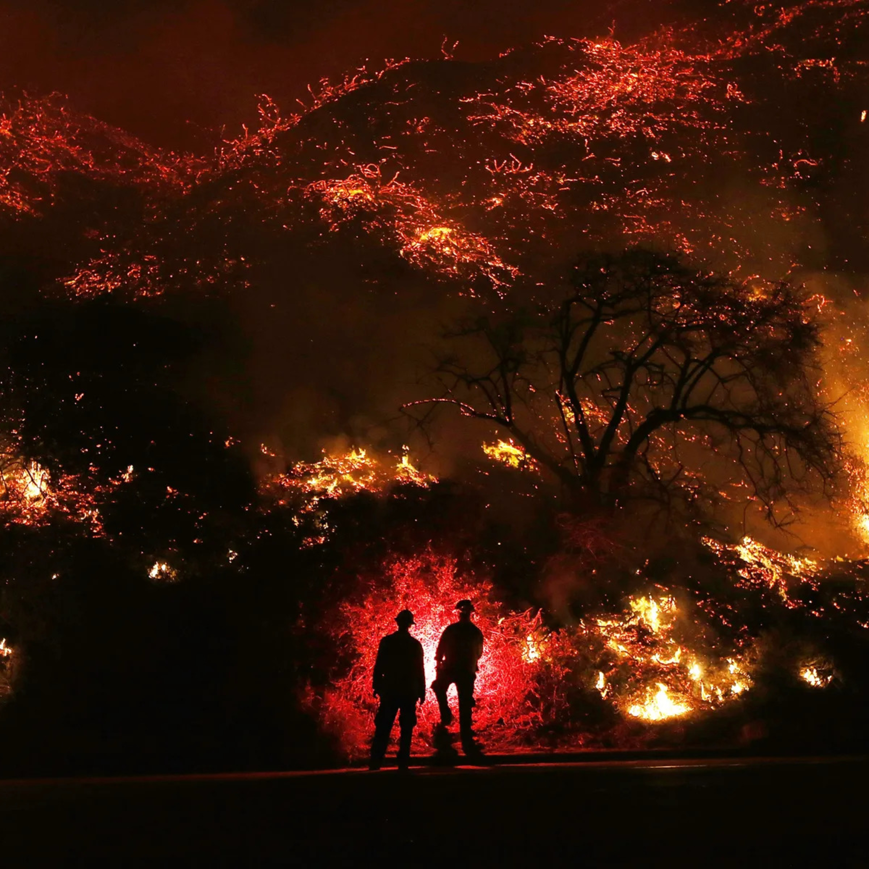 Climate News: Elon Musk spreads disinformation about LA fires and damns the authorities episode artwork