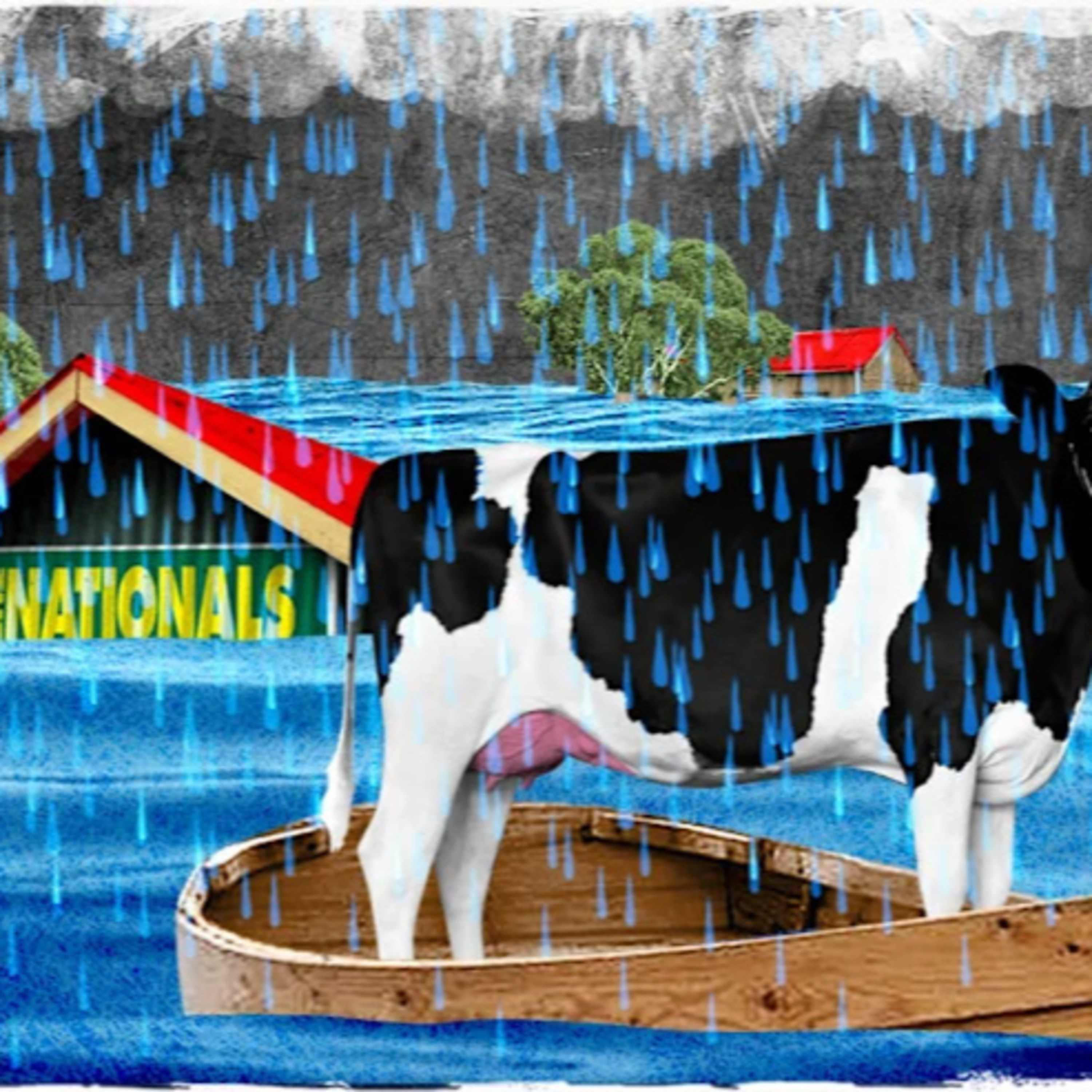 Climate News: 'The Nationals are idiots,' he said. 'You can quote me on that' - a vetinarian from the NSW mid-north coast episode artwork