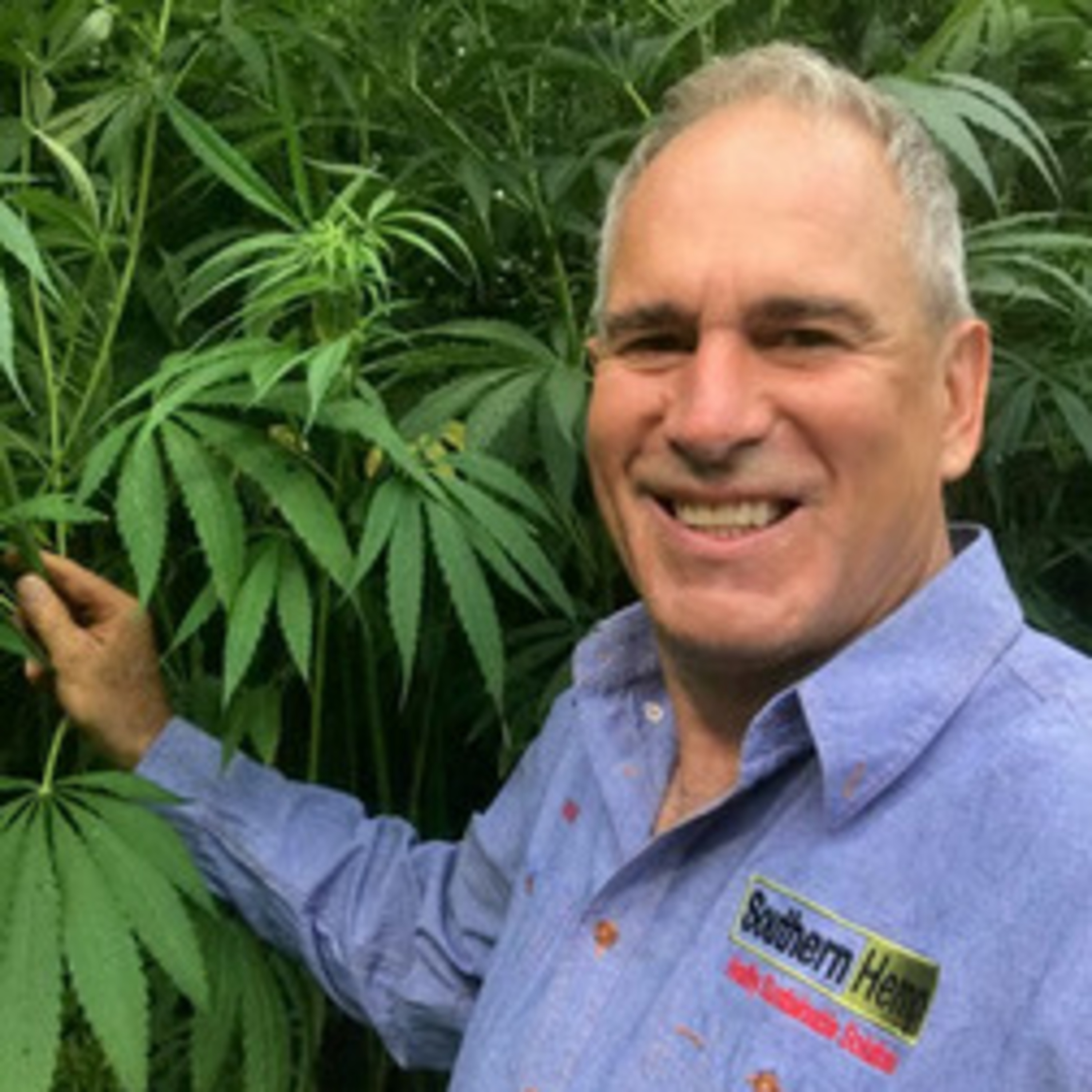 Interview: David Brian is enthusiastic about hemp and wants others, particularly Northern Victorian famers to be equally enthusiastic episode artwork