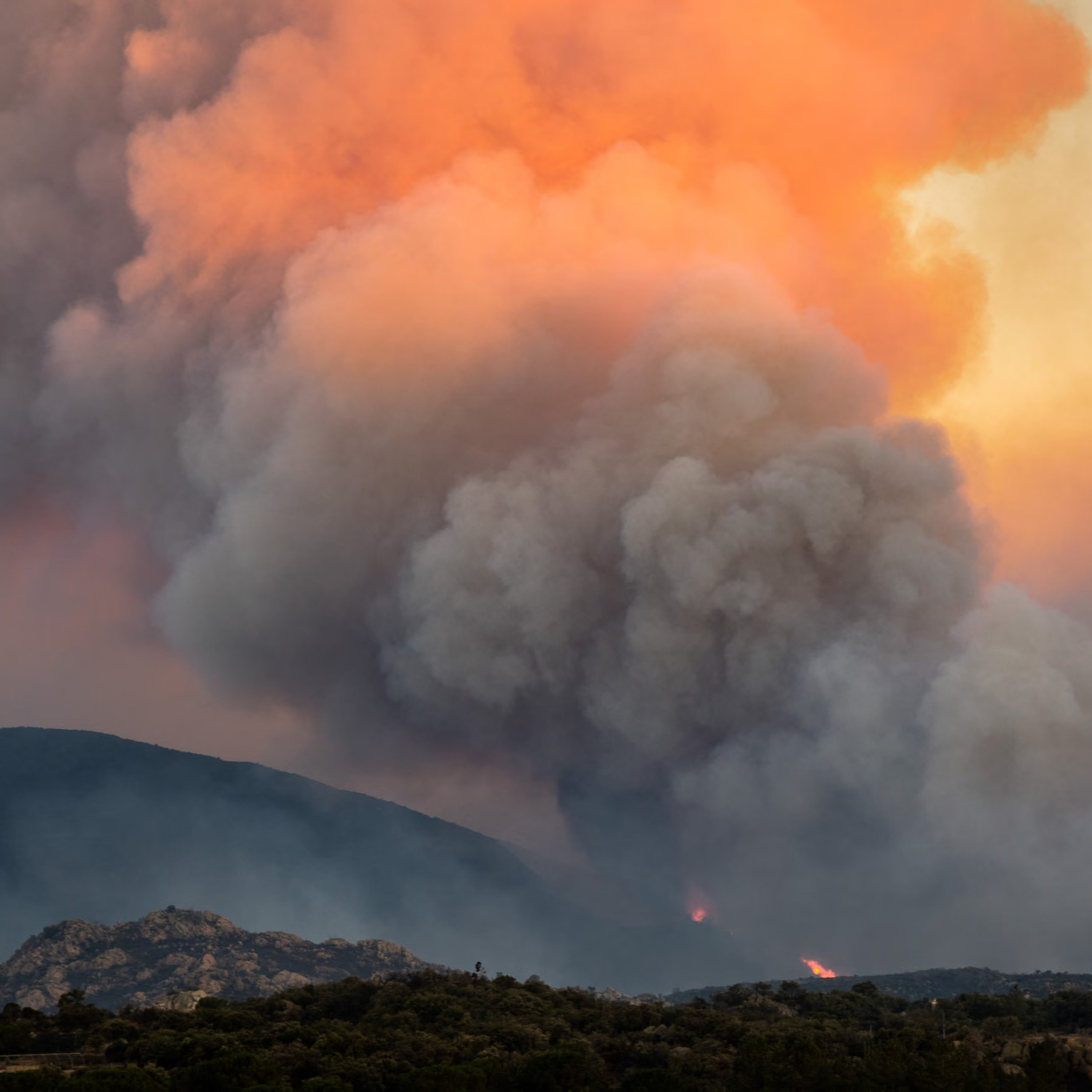 Climate News: First Europe battled floods and now it is fires - climate change is here now; Wilderness Society update; Amy Remeikis urges us to take action 'before some other fucker does' episode artwork