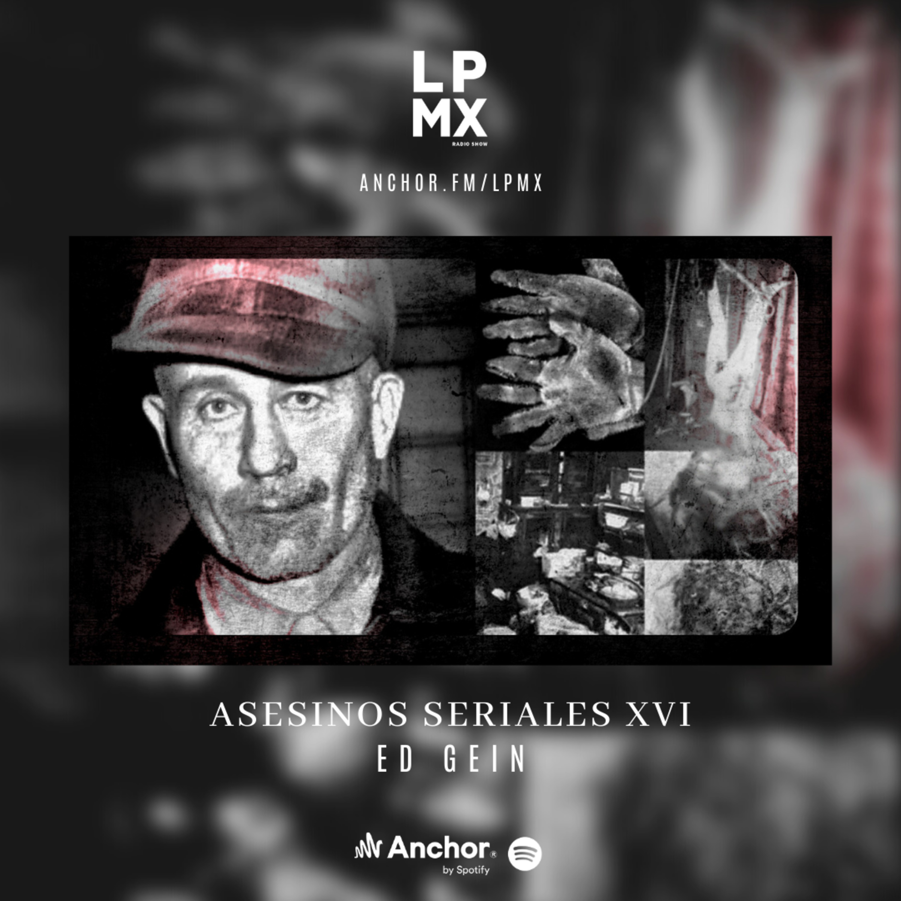 ASESINOS SERIALES XVI: ED GEIN, EL CARNICERO DE PLAINFIELD episode artwork