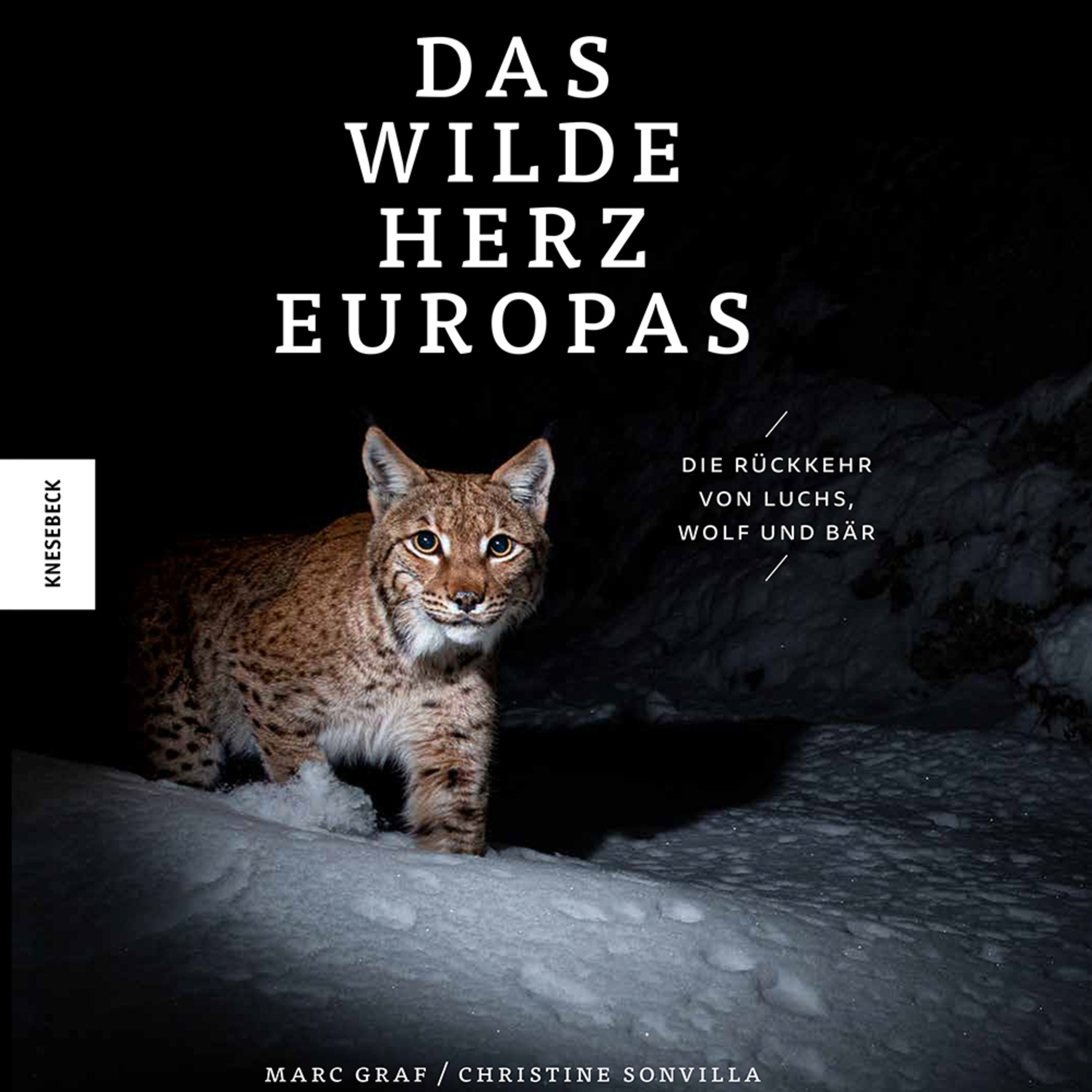 Bohnensack Der Natur Fotografie PodcastLandschafts Makro Tier und Wildlife Fotografie Foto