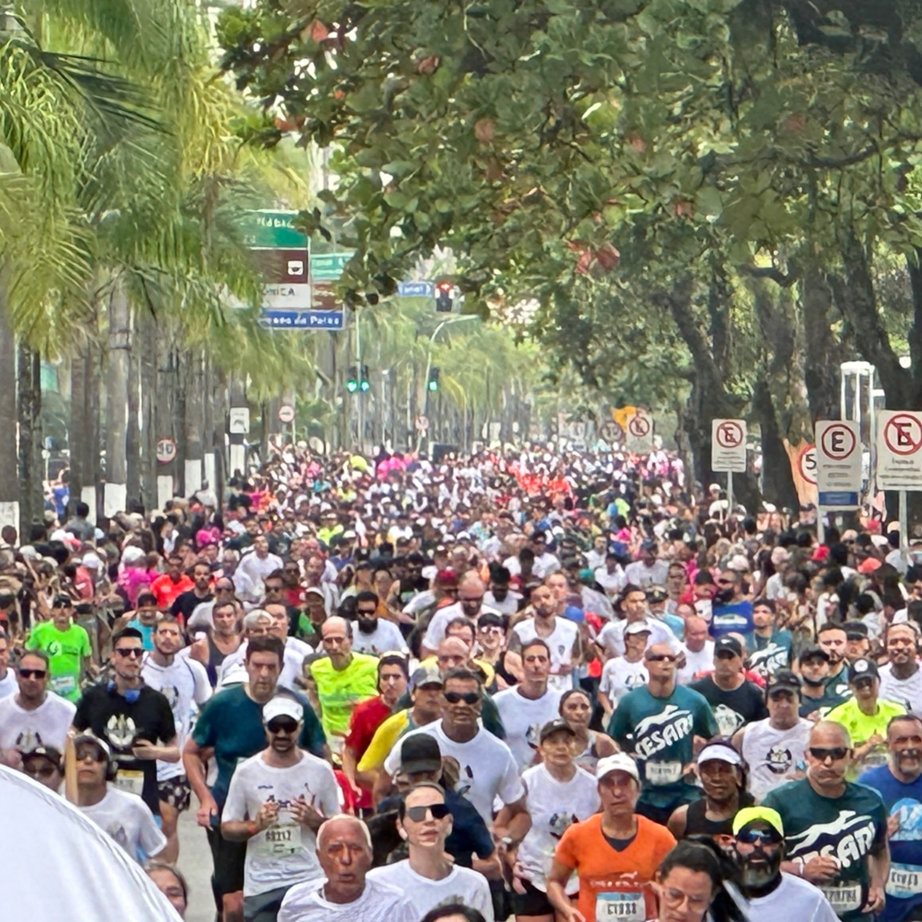 os NÚMEROS da TRIBUNA, MARATONA Nilson Lima e outras coisas | Café & Corrida #211