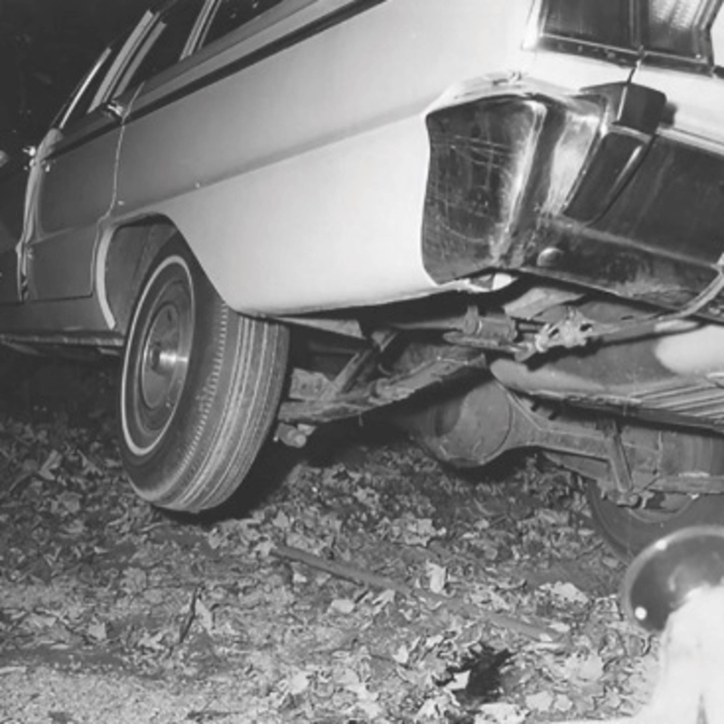 Homicide at Rough Point (Part Two)