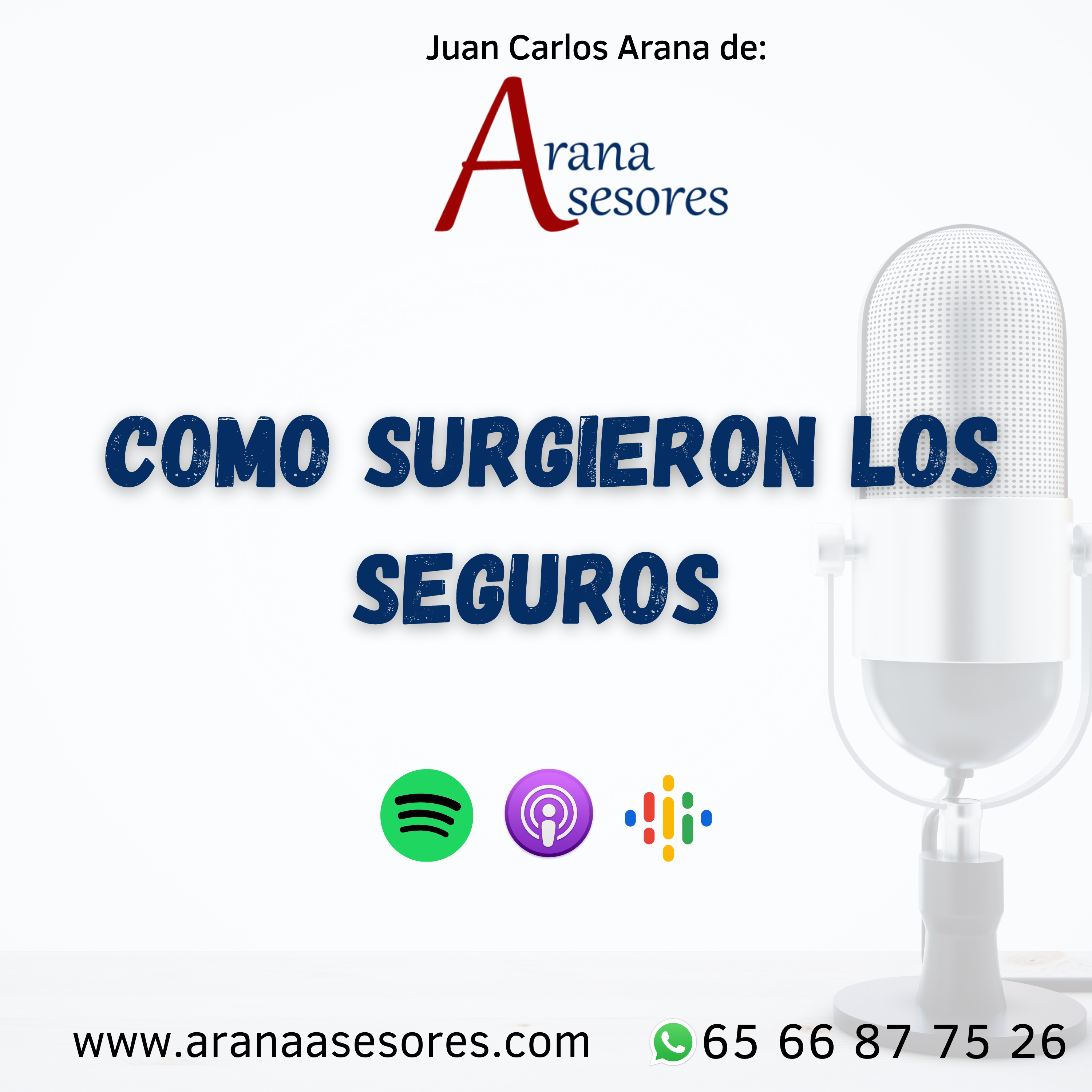 Juan Carlos Arana De Arana Asesores - Tranquilidad en finanzas personales a través de los seguros