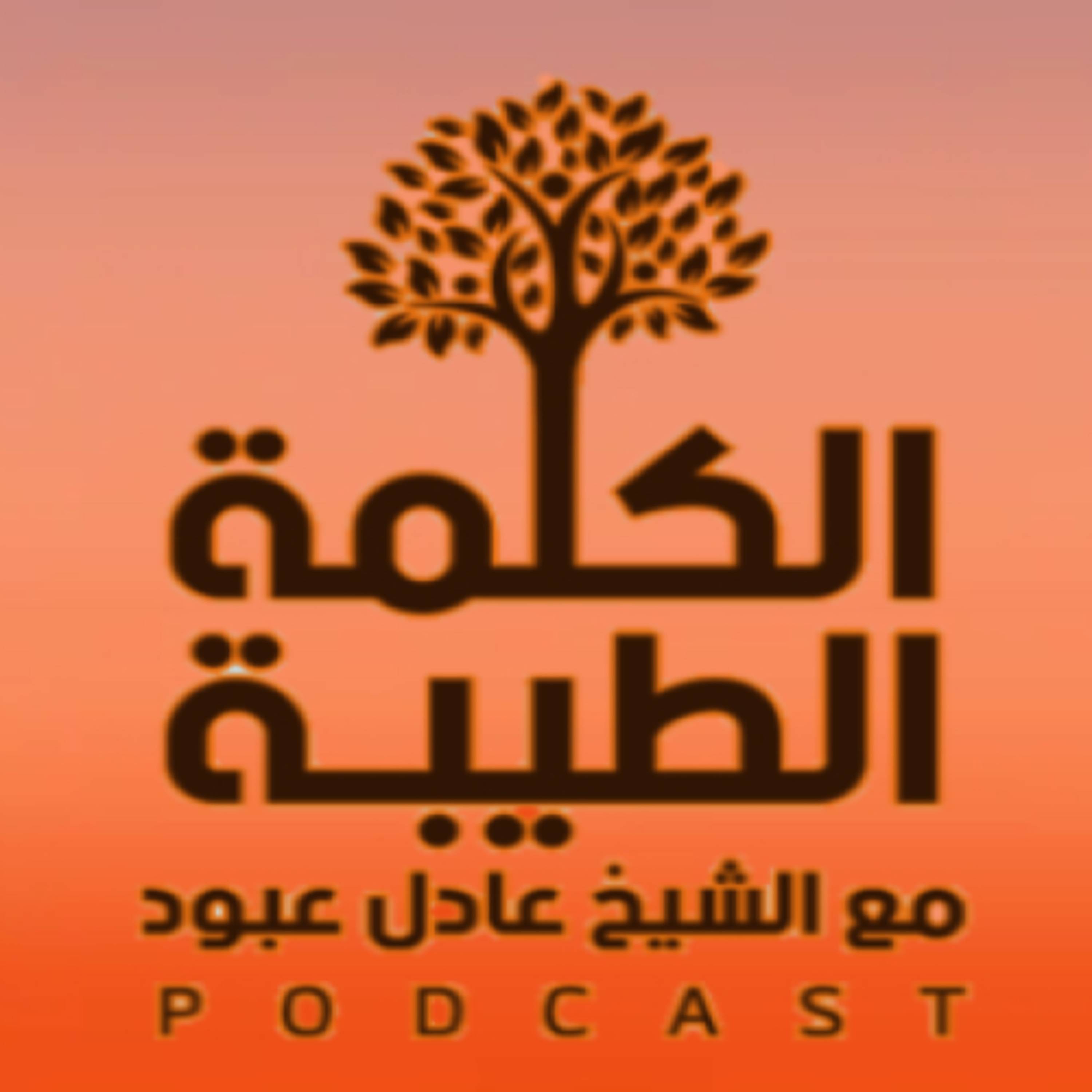 رسائل رمضانية - الحلقة الثالثة - كيف تغتنم المرأة شهر رمضان episode artwork