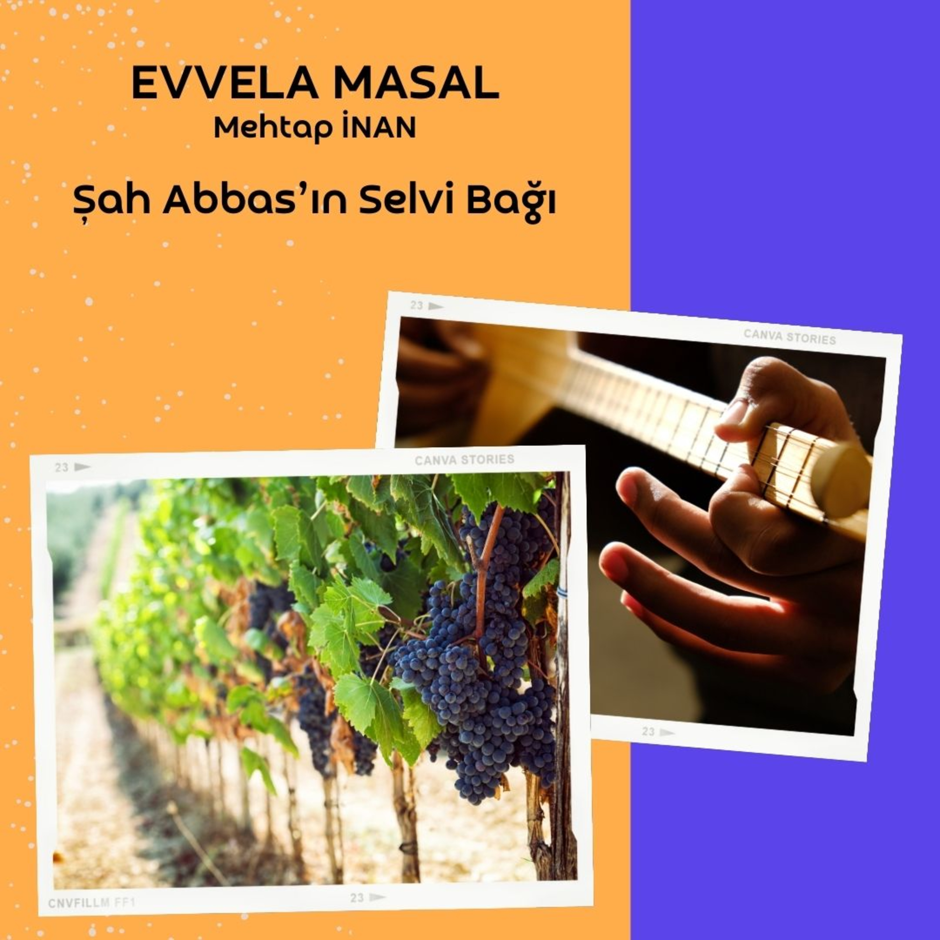 Şah Abbasın Selvi Bağı episode artwork