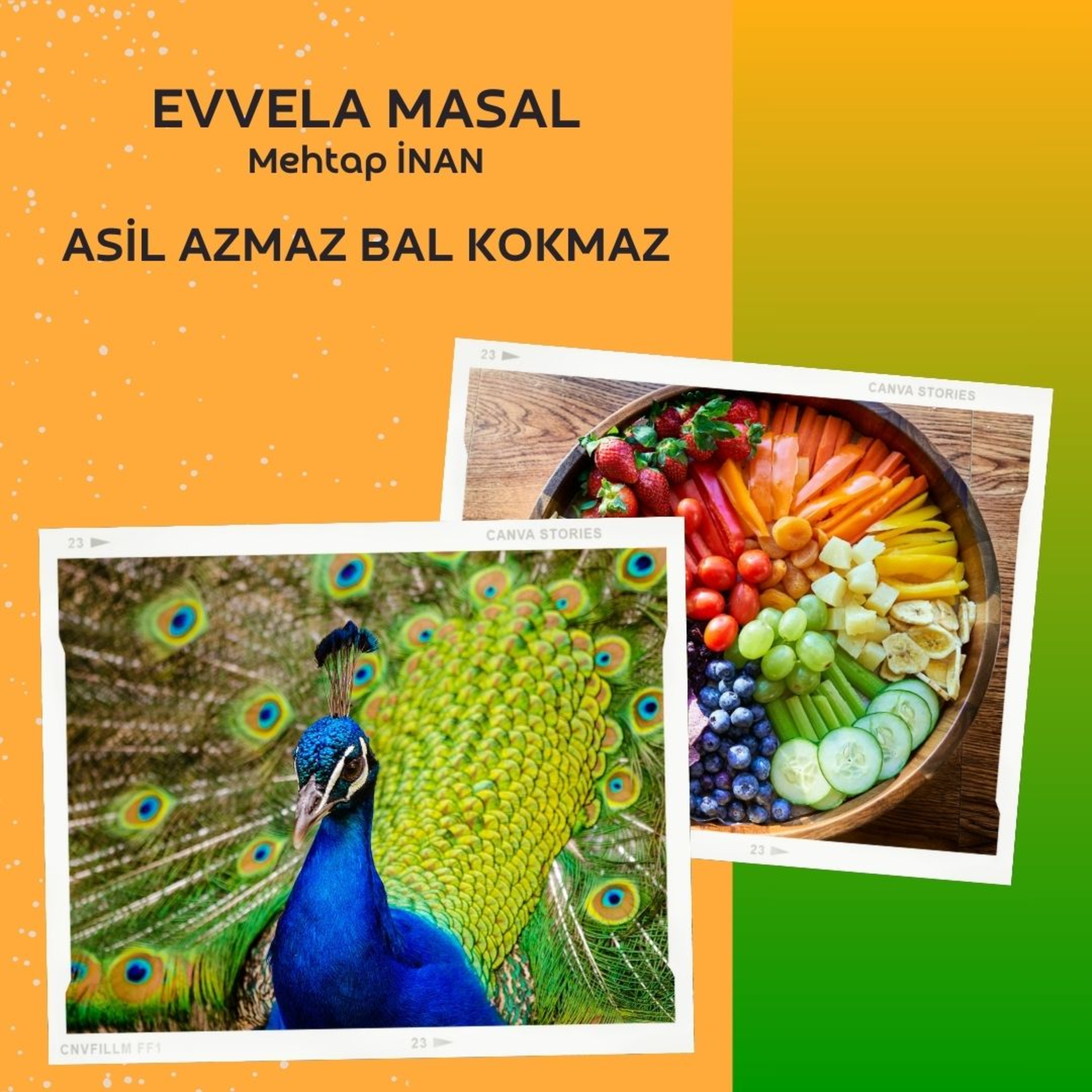 Asil Azmaz Bal Kokmaz episode artwork