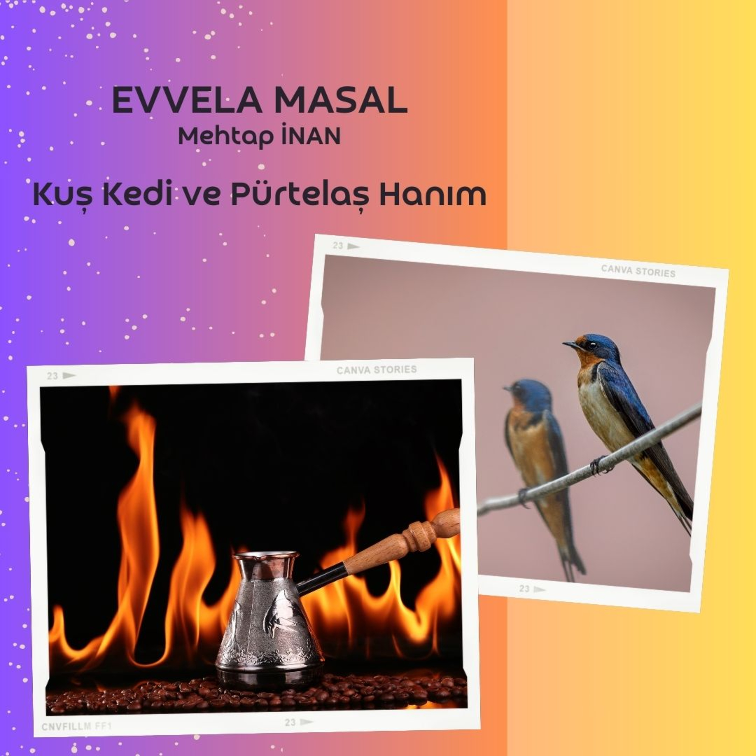 Kuşlar Kedi ve Pürtelaş Hanım episode artwork