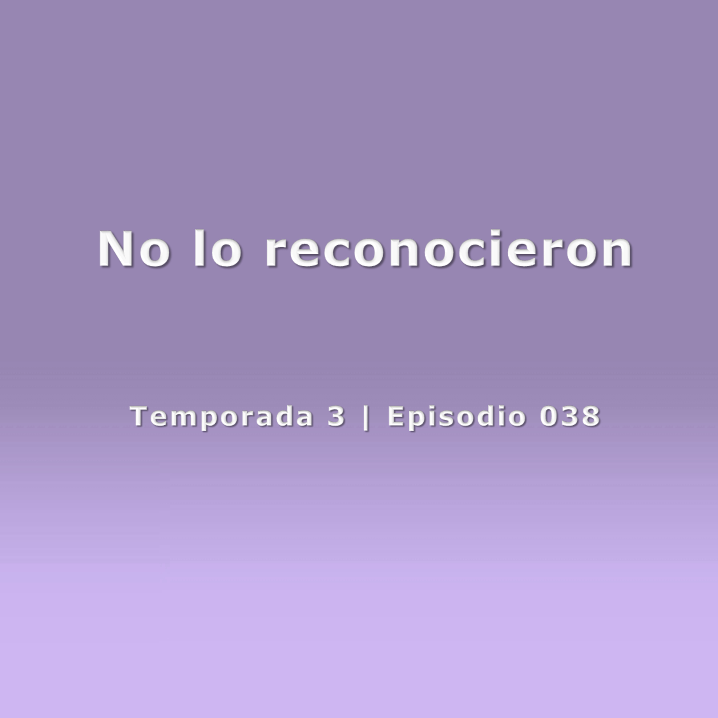 No lo reconocieron - Temp. 3 (N° 038)
