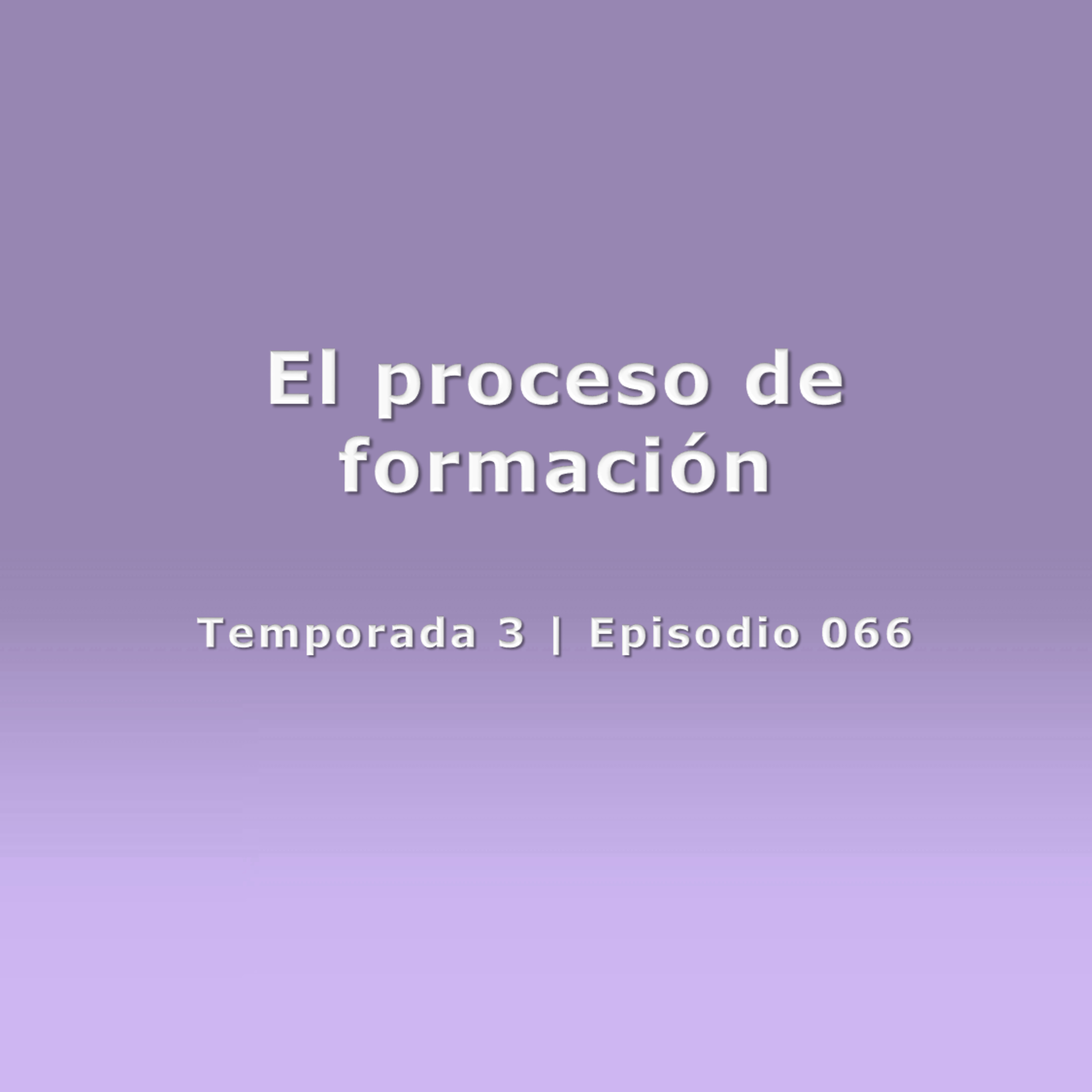 El proceso de formación - Temp. 3 (N° 066) episode artwork