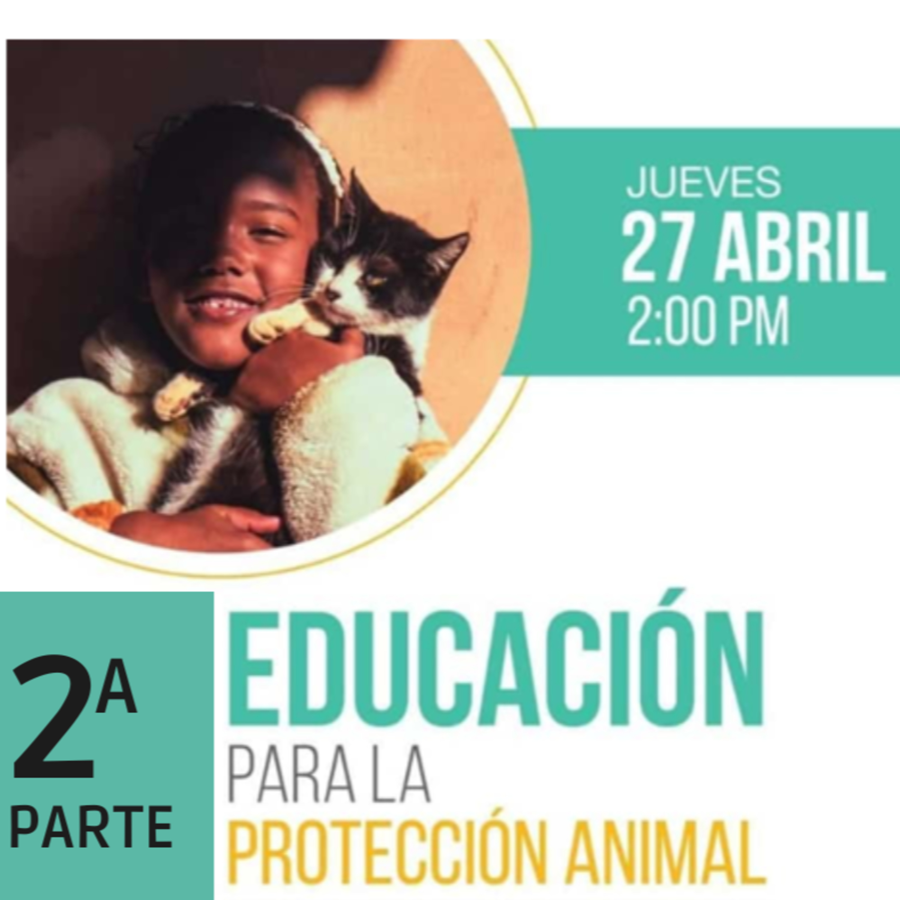 100. FORO DE EDUCACION PARA LA PROTECCION ANIMAL – COMISION QUINTA DEL SENADO PARTE 2 episode artwork