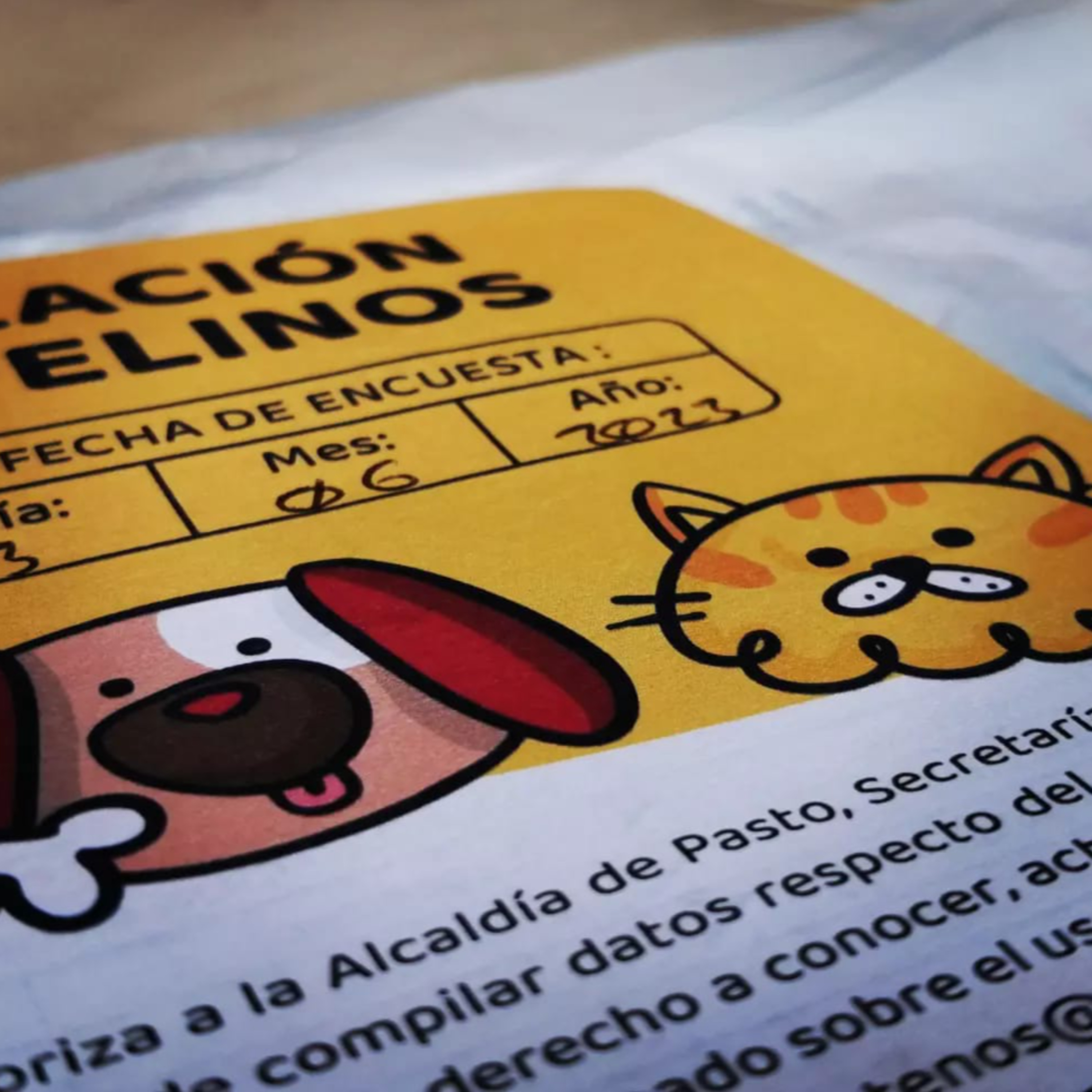 103. CENSO DE POBLACIÓN DE CANINOS Y FELINOS DE PASTO episode artwork