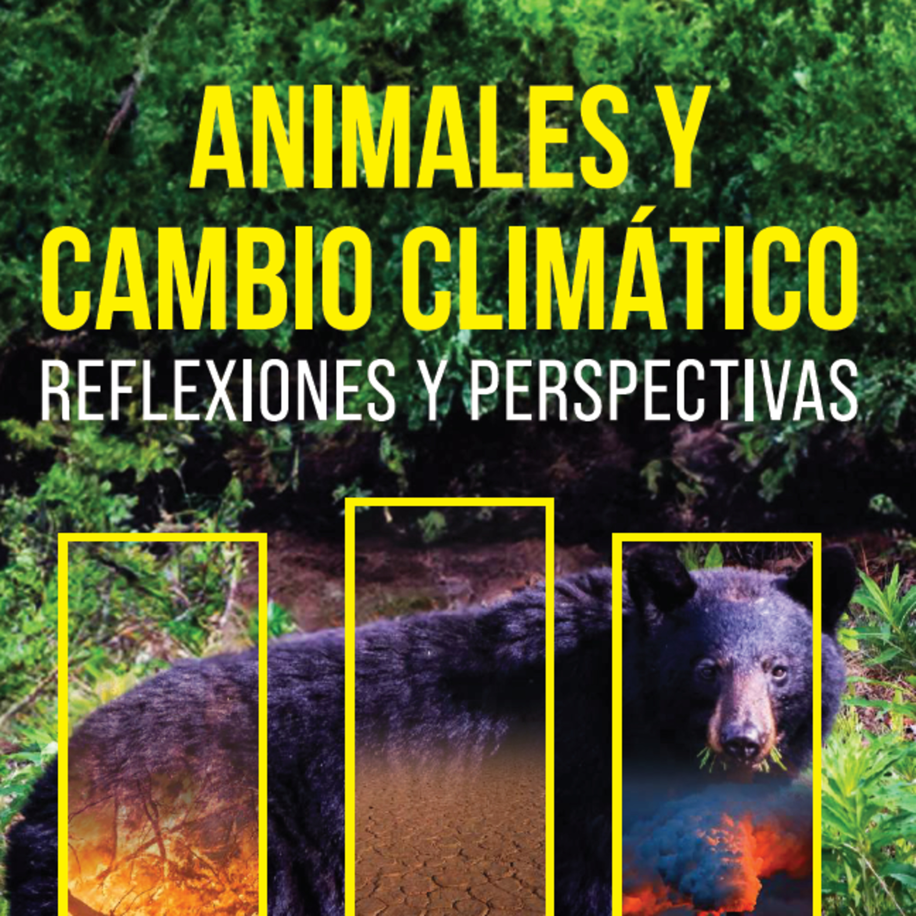 RADIO ANIMALISTA ACTIVISTA